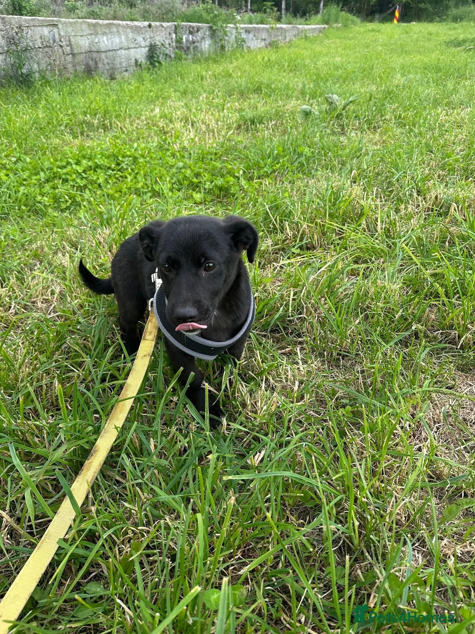 Meet Raegan, currently residing in Surrey photo 9