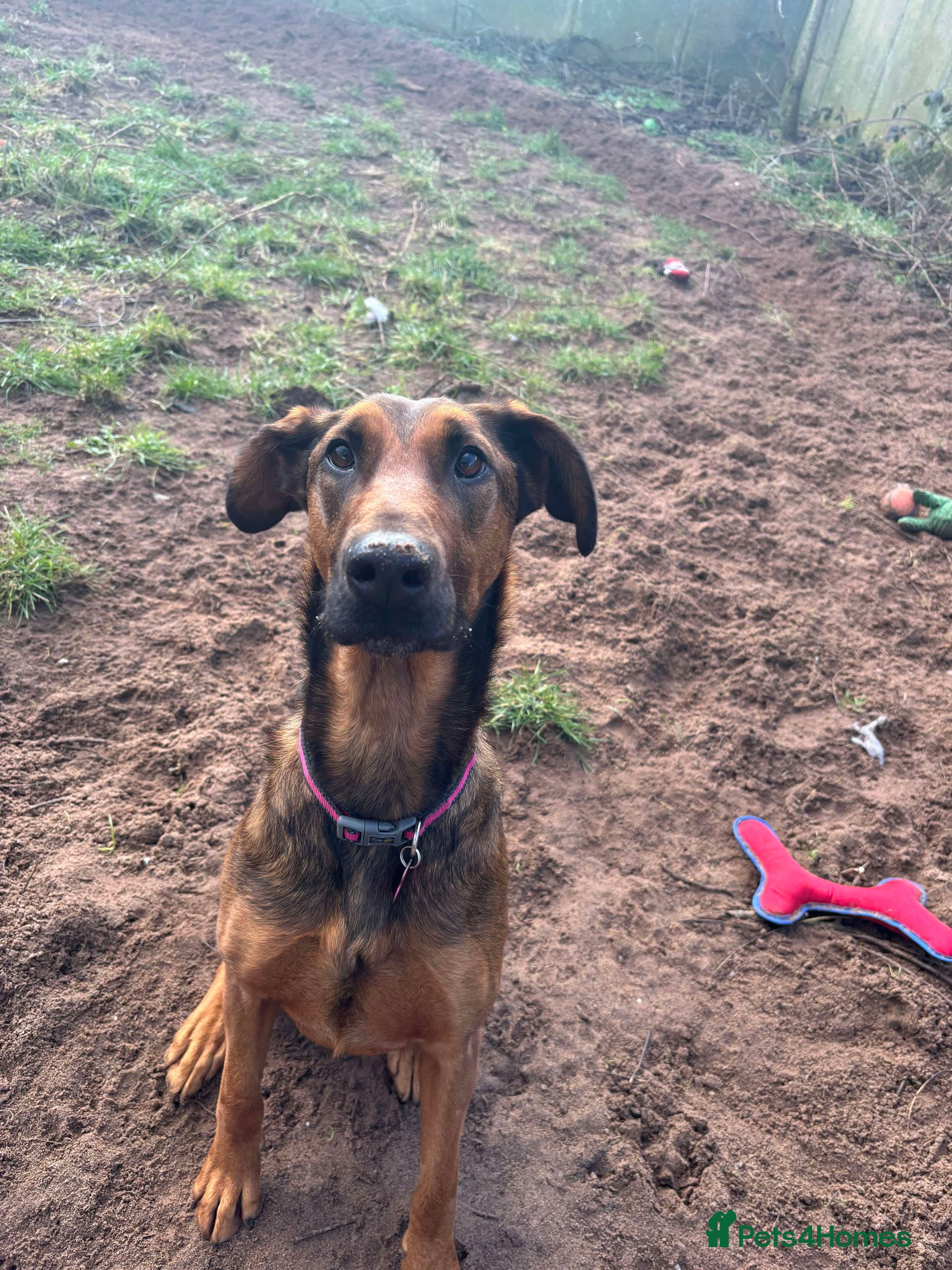 Meet Carrie,currently residing in Cheshire photo 5