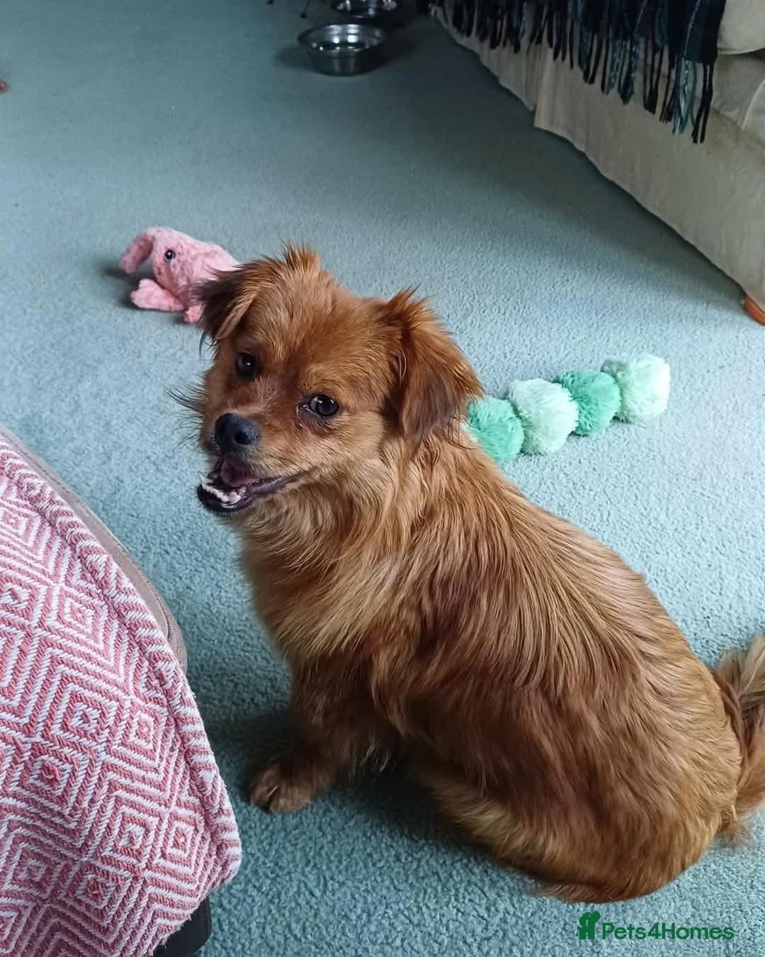 Cuddly Charlie photo 2