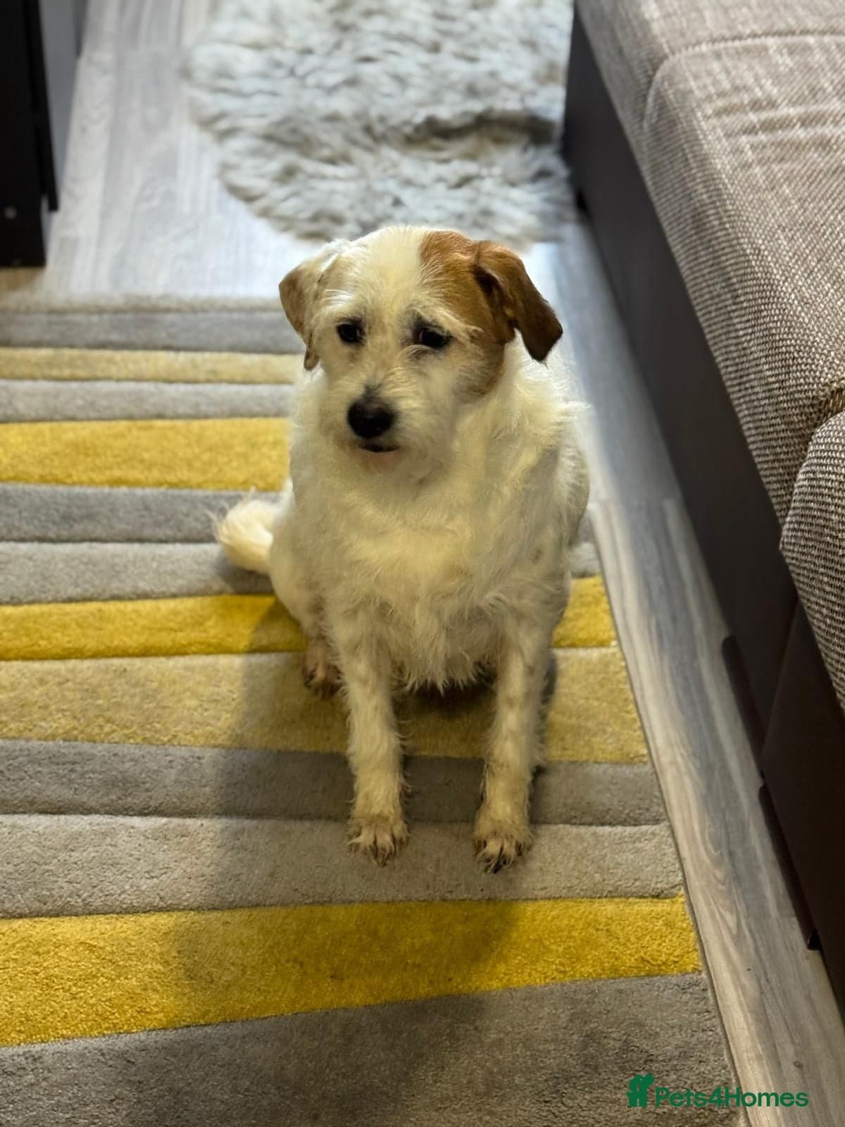 Cute girl Pepsi photo 15