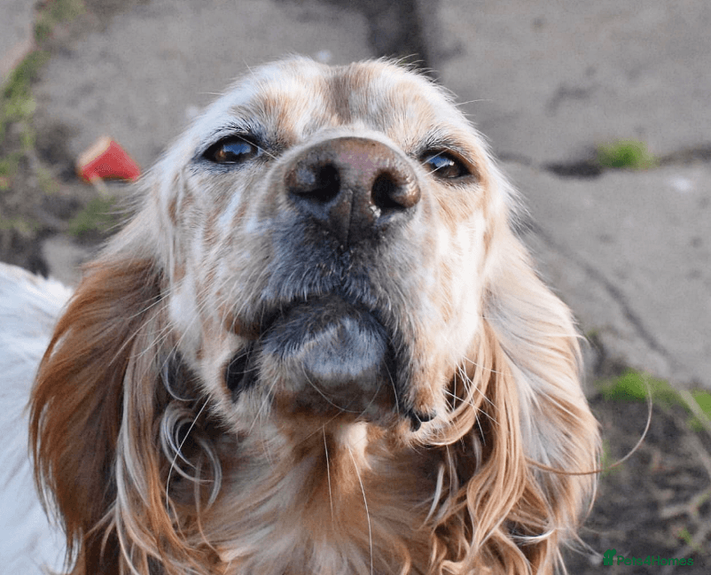 Bonnie (Laila) photo 4