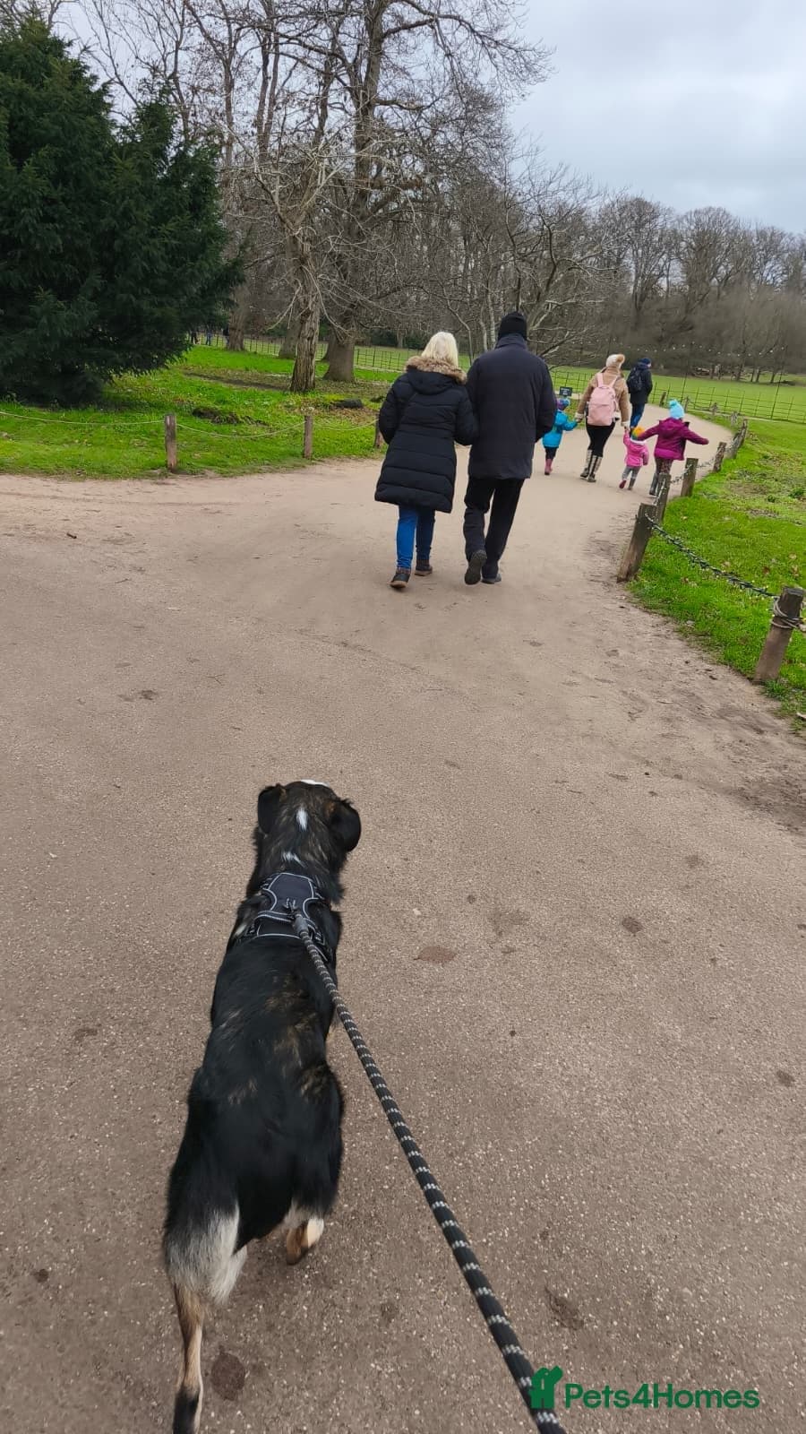 MAXπ Let Down But Still Loving photo 17