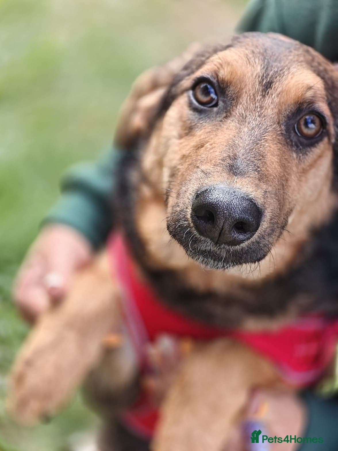 οΈπΆ yasia photo 8