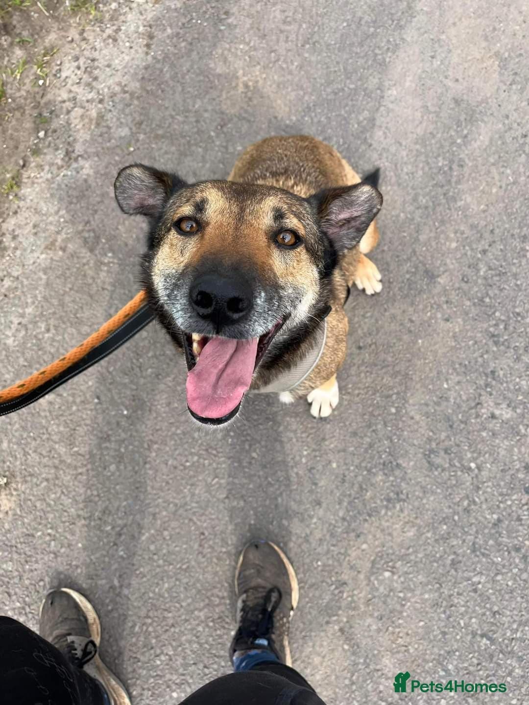 Meet Faith, currently residing in Cheshire photo 6