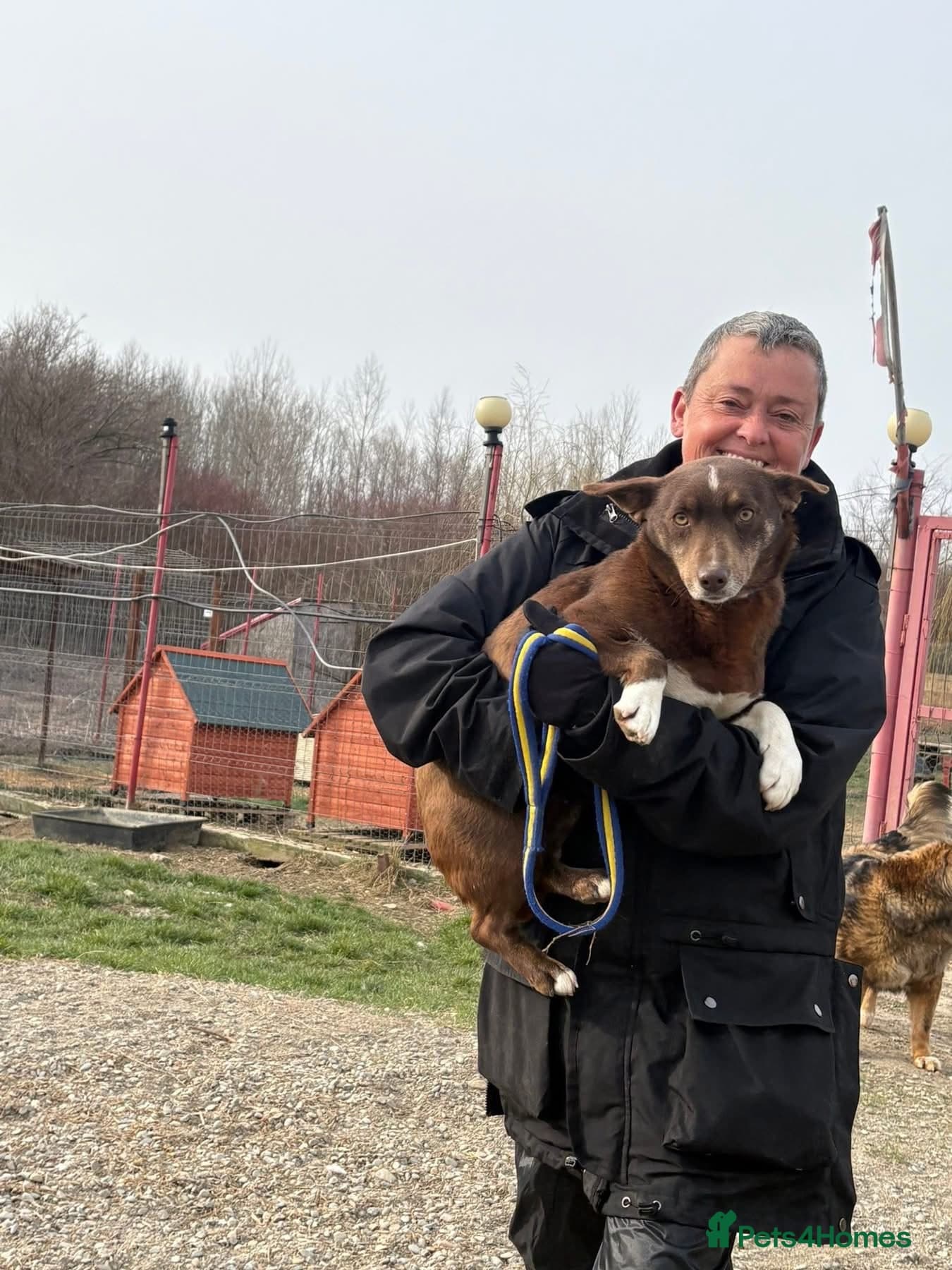 India - Norwich Norfolk photo 11