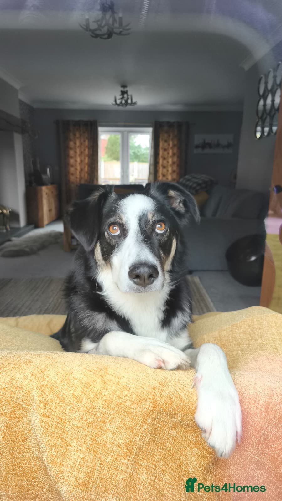 MAXπ Let Down But Still Loving photo 2