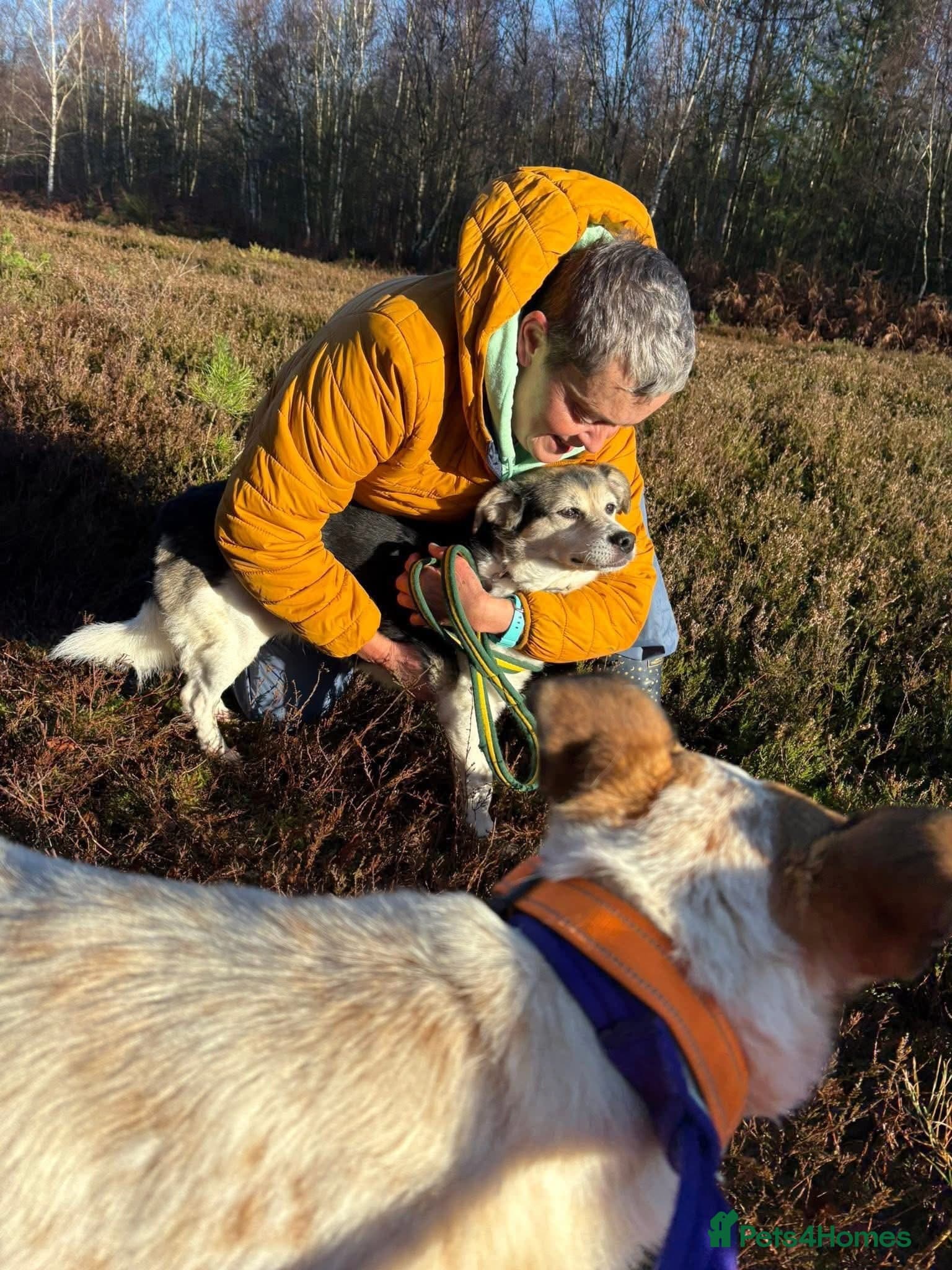 Tara - Norwich Norfolk photo 4