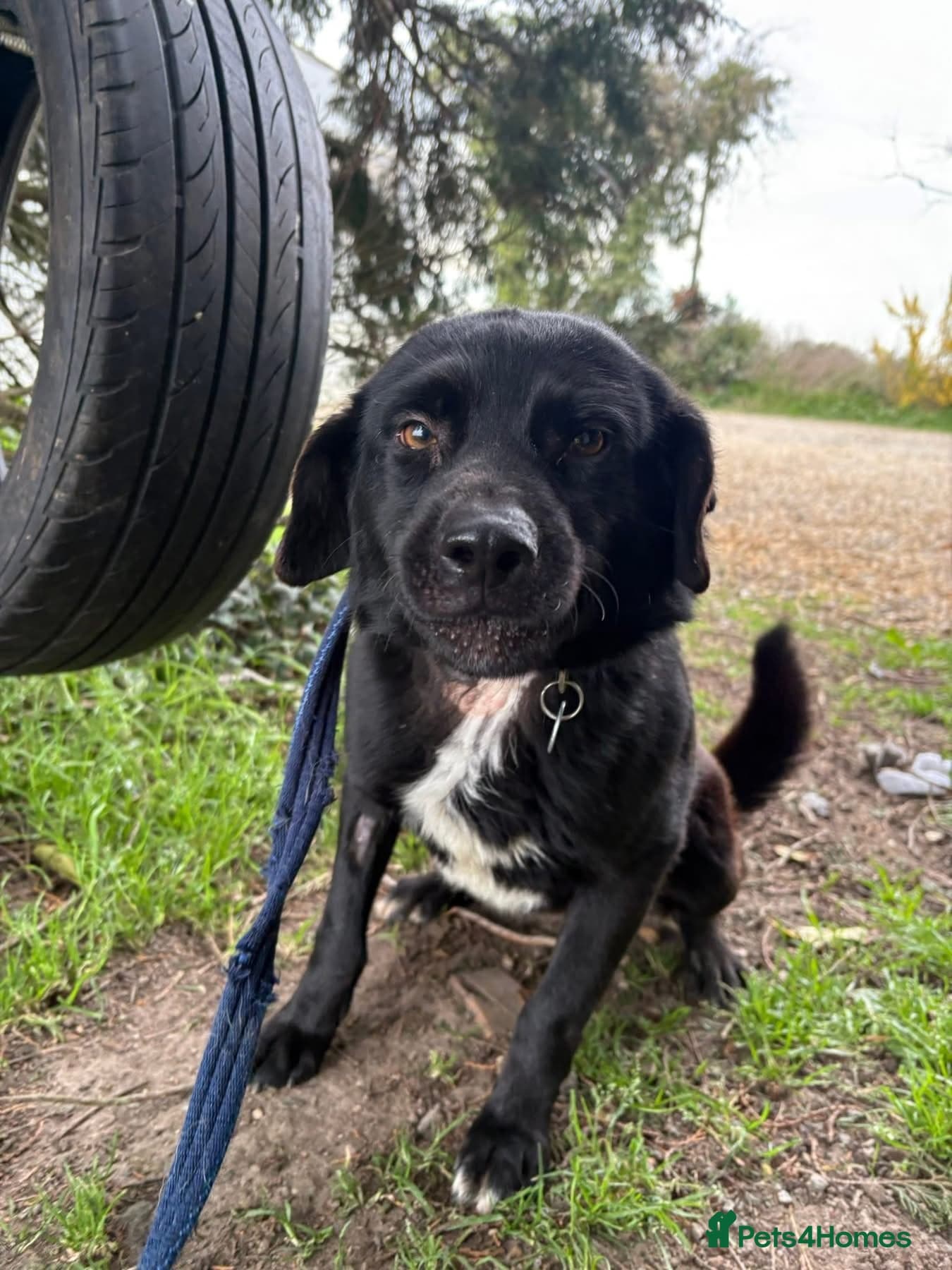 Callum - Norwich Norfolk photo 11