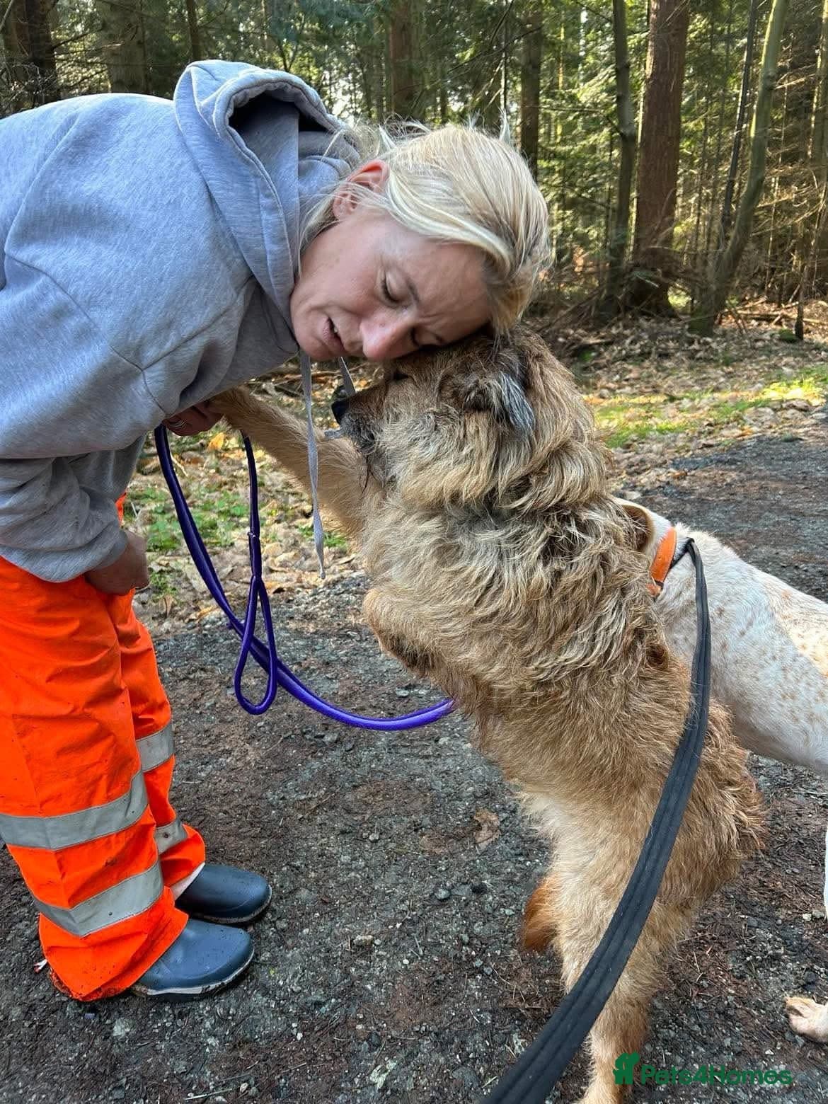 Jack - Watton Norfolk photo 9