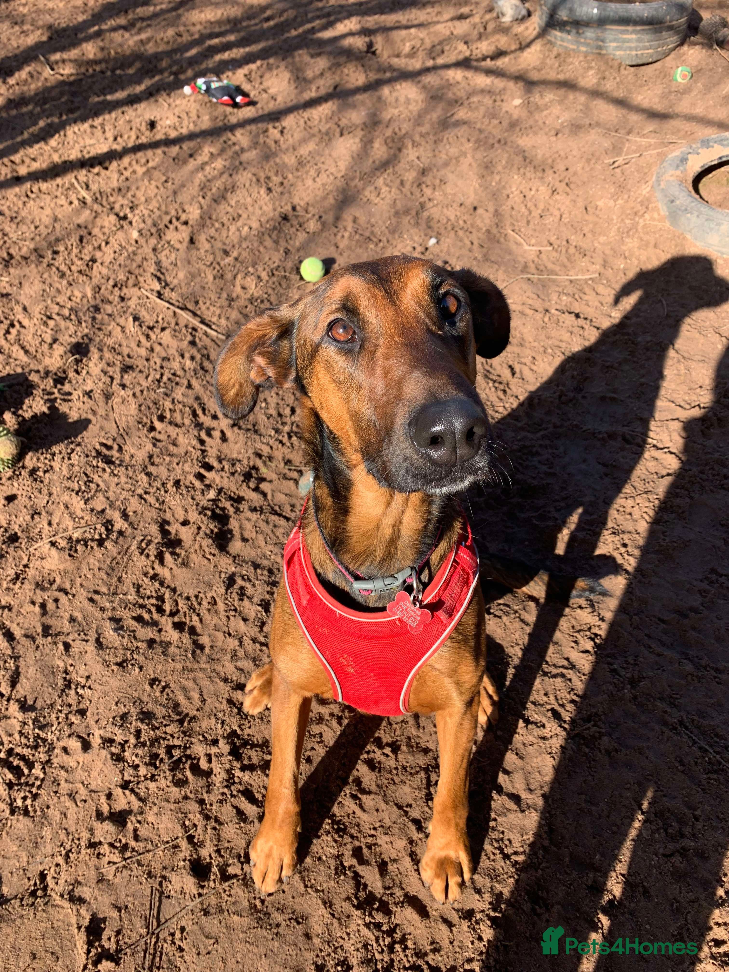 Meet Carrie,currently residing in Cheshire photo 10