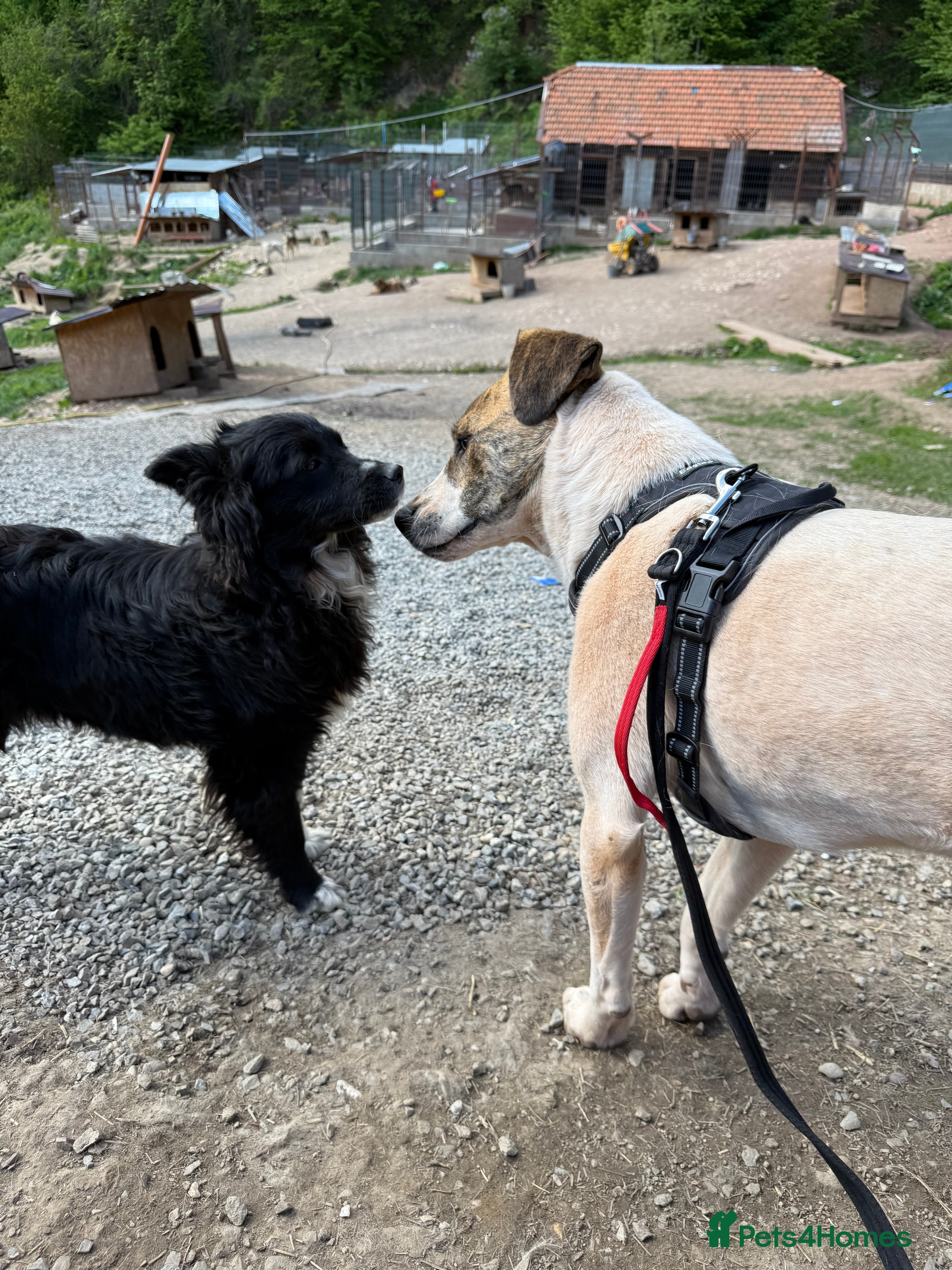 Jasmine π©· photo 5