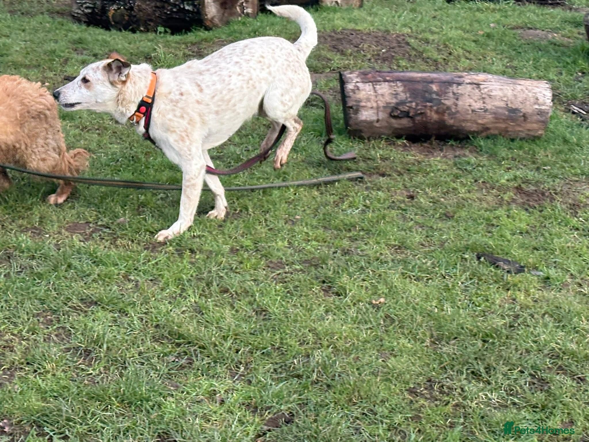 Trinity - Norwich Norfolk photo 12