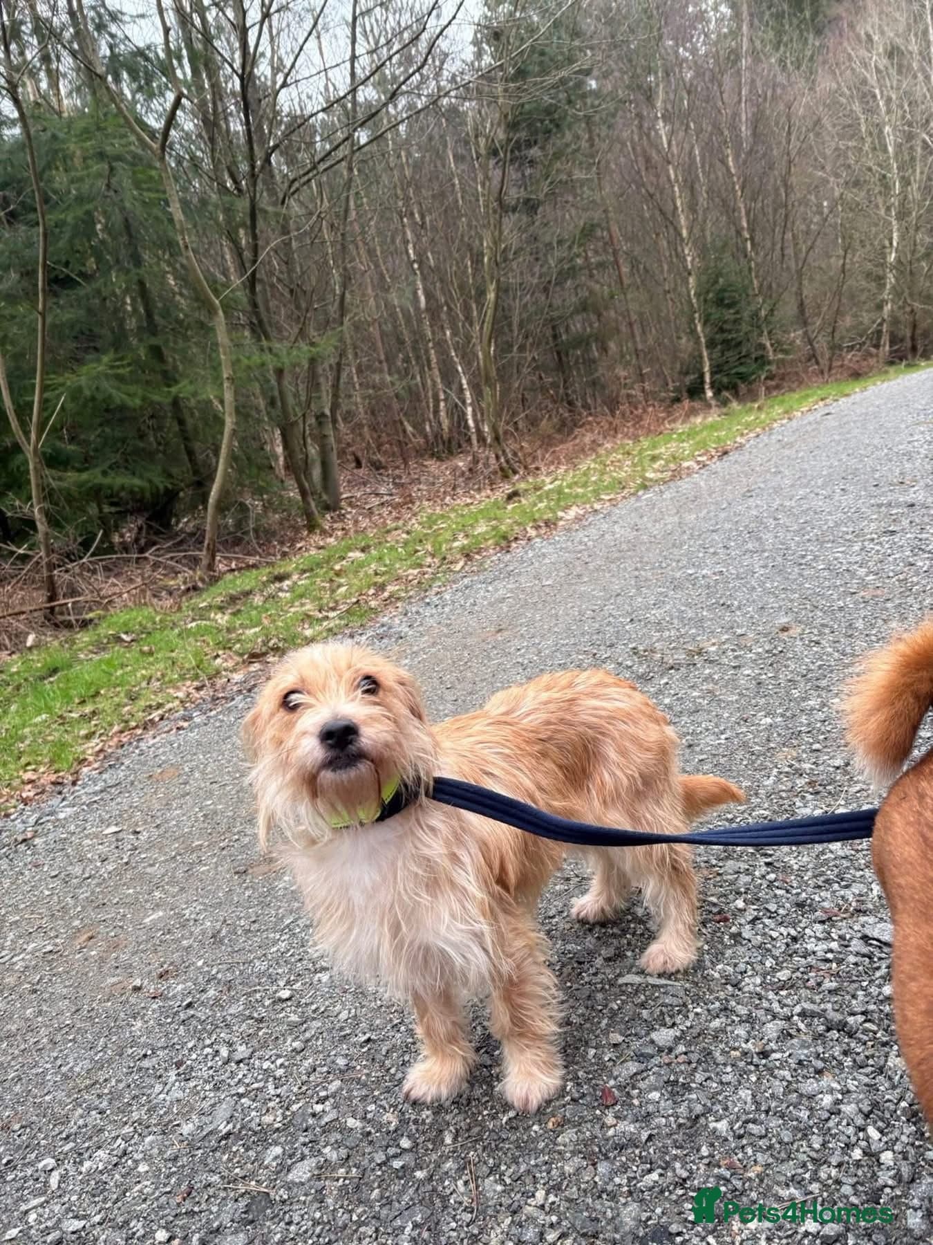 Yara - Norwich Norfolk photo 17