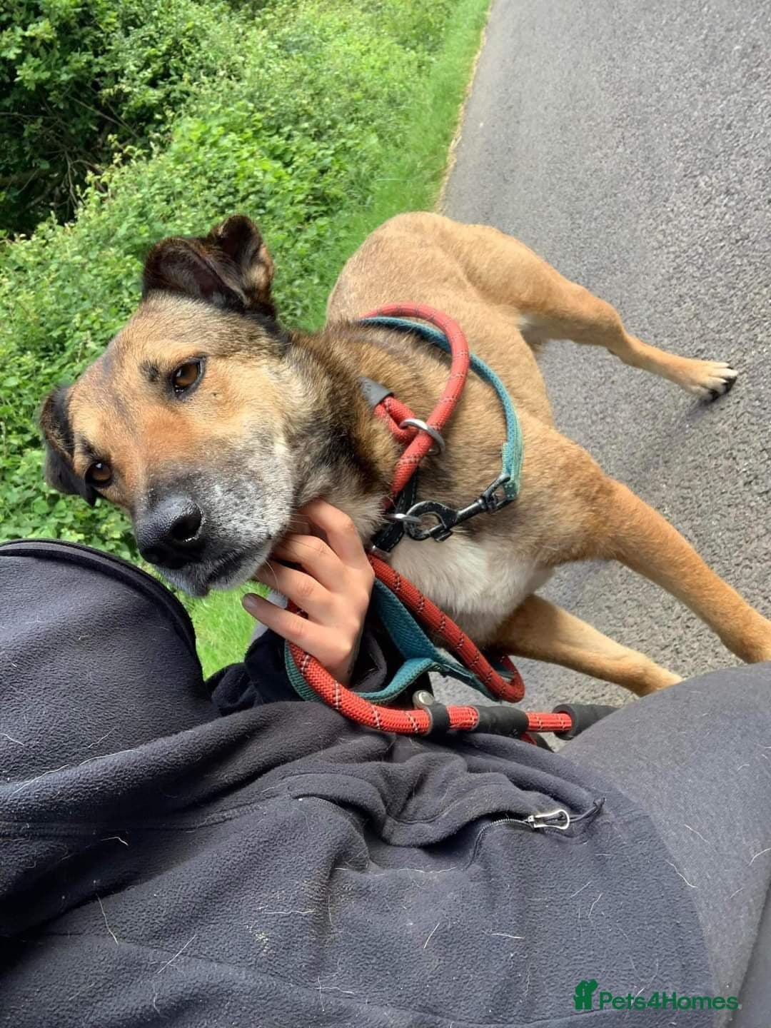 Meet Faith, currently residing in Cheshire photo 5