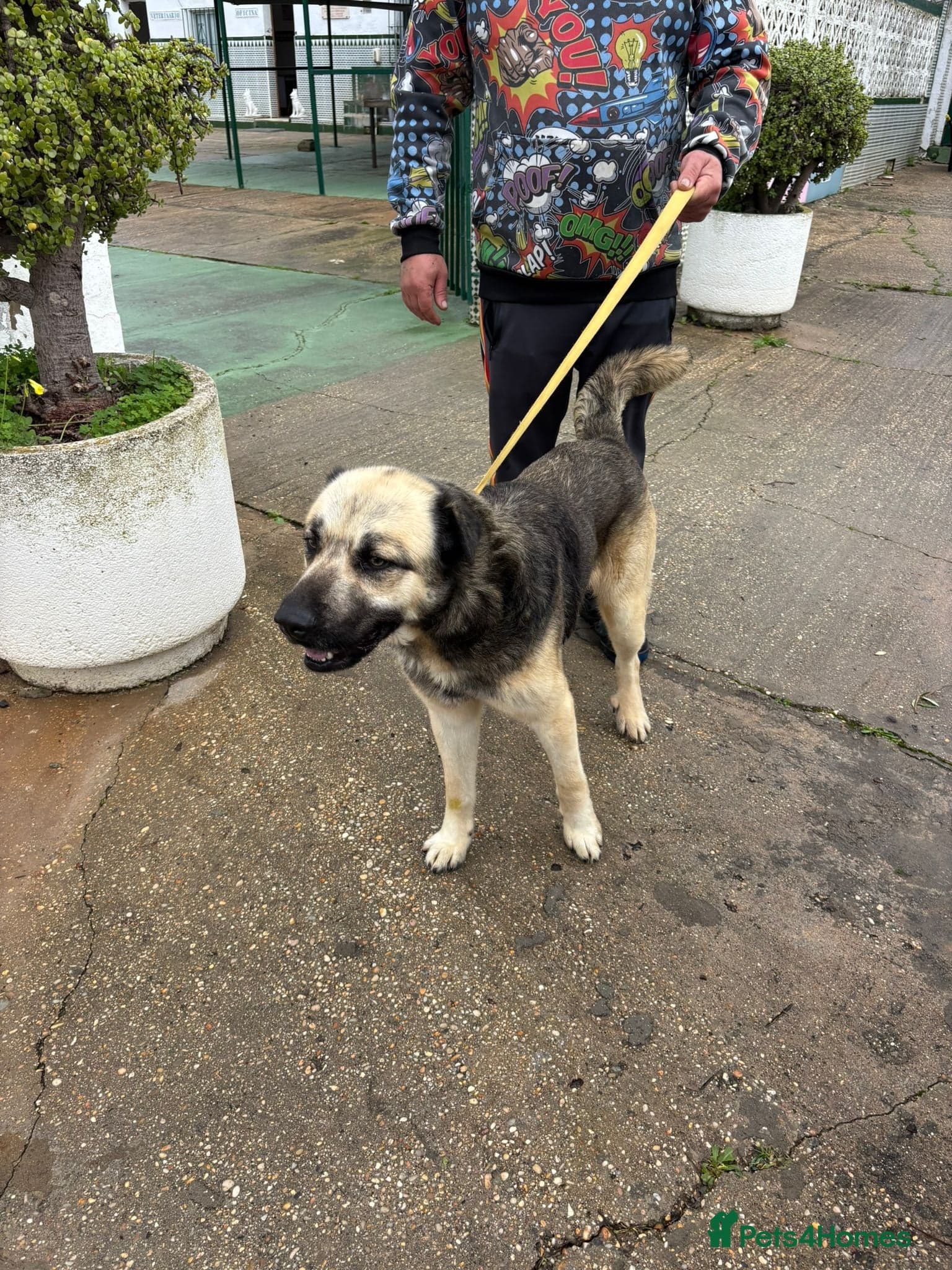 Titan❤️🐾 photo 6