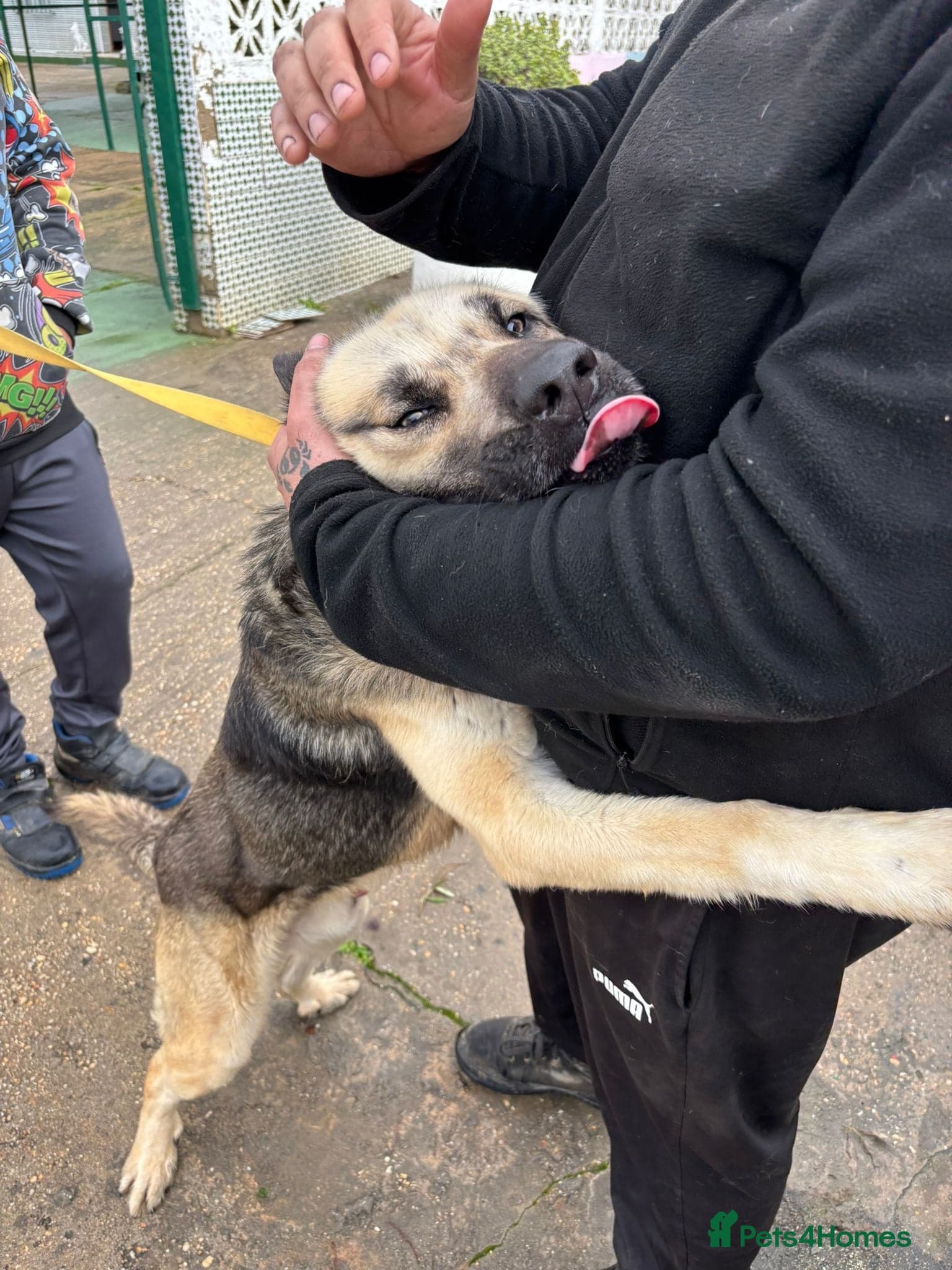 Titan❤️🐾 photo 4