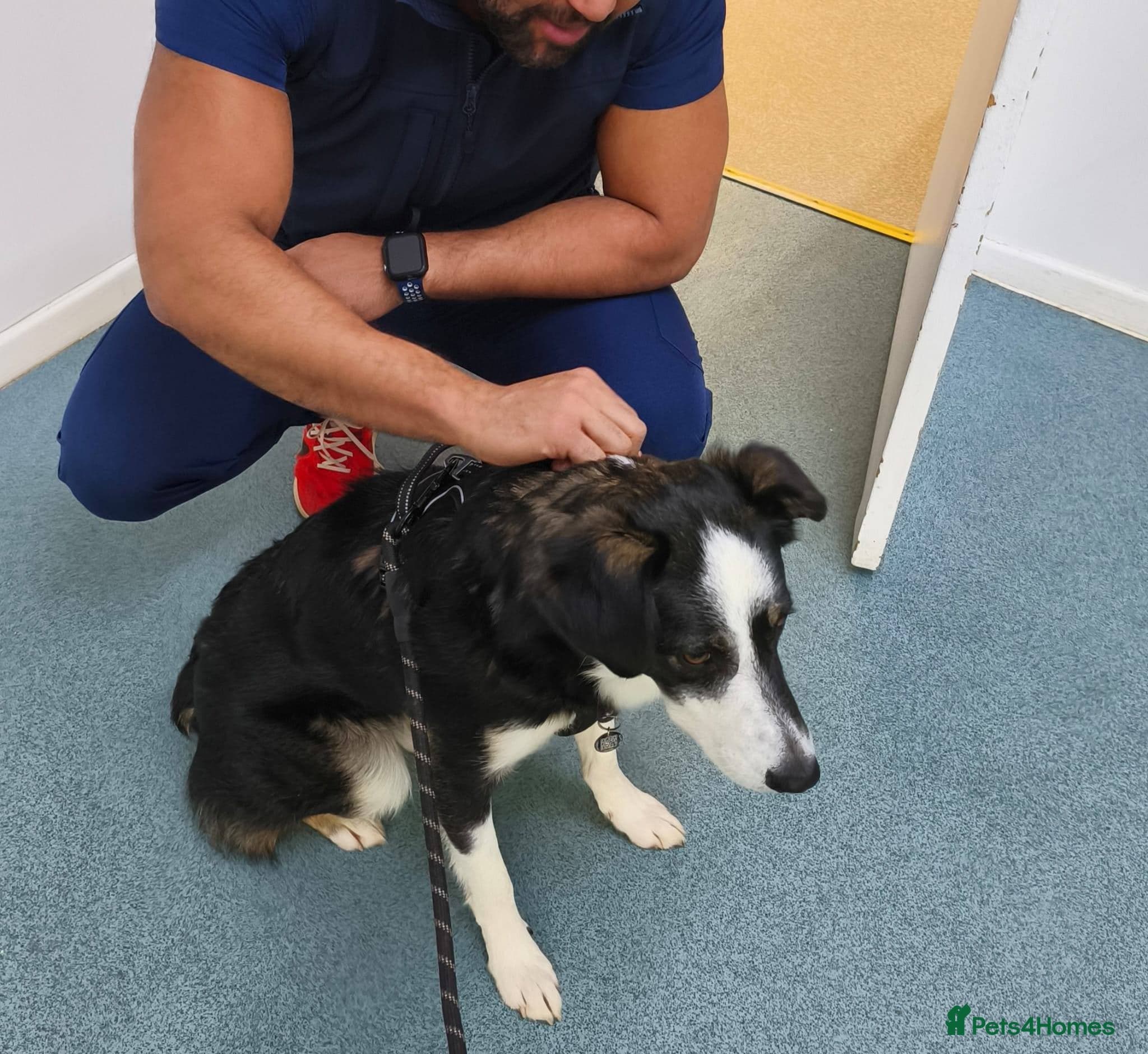 MAXπ Let Down But Still Loving photo 11