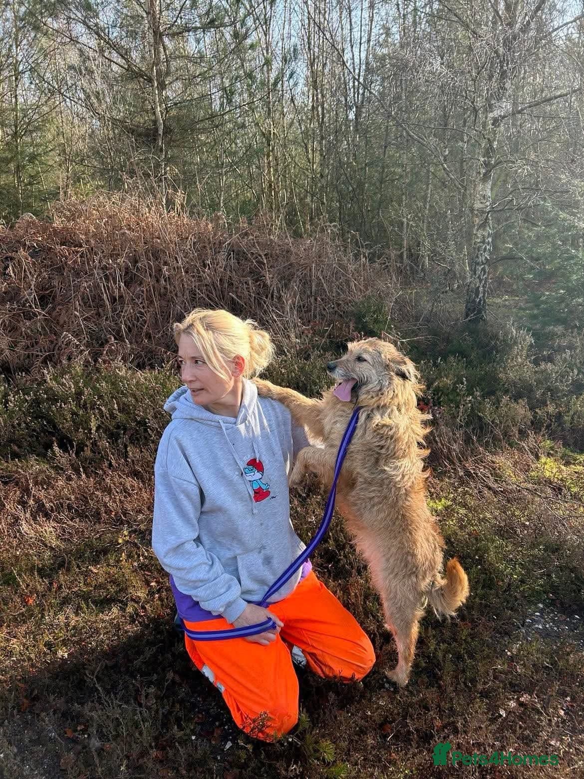 Jack - Watton Norfolk photo 17