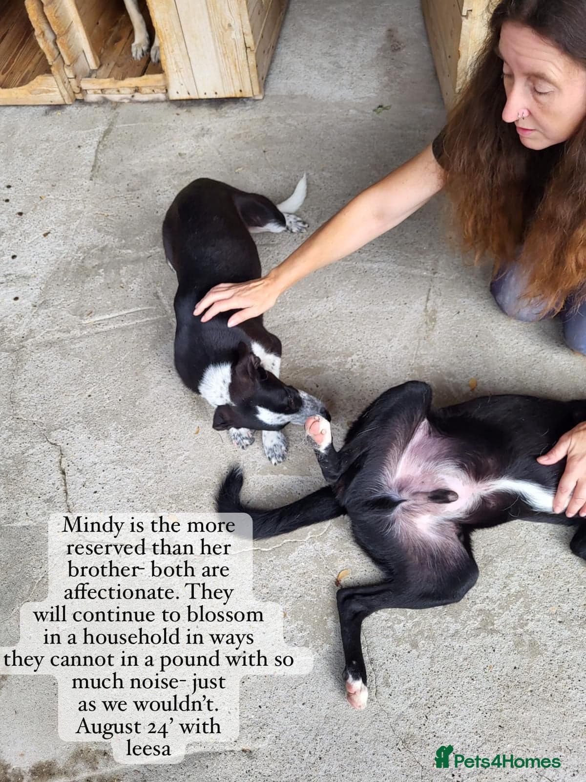 Pretty Mindy. Reserved STC. photo 8