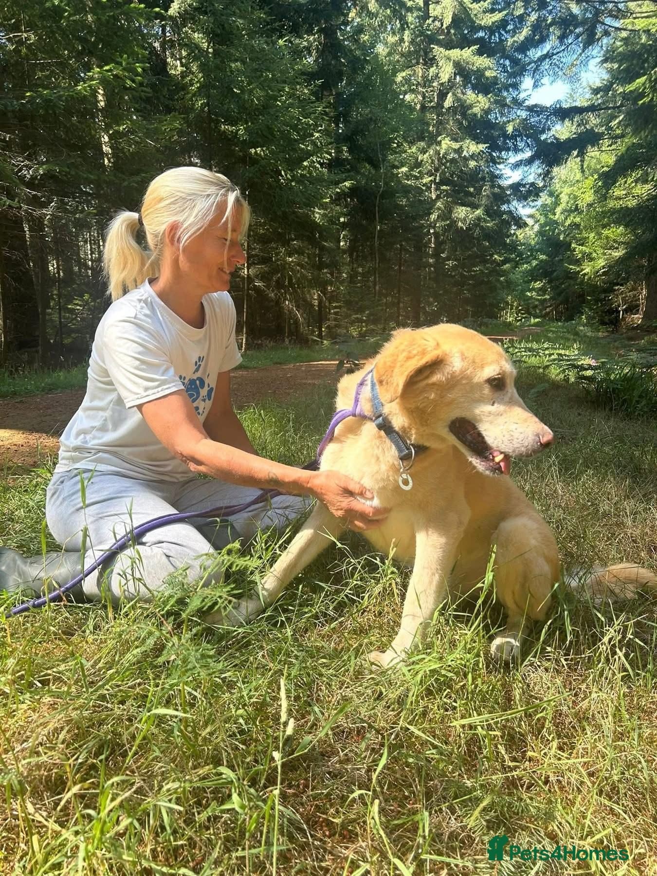 Rupert - Norwich Norfolk photo 18