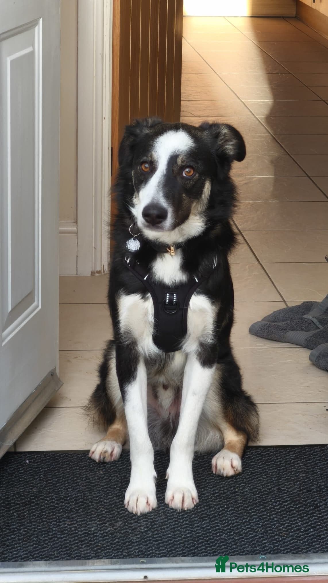 MAXπ Let Down But Still Loving photo 4