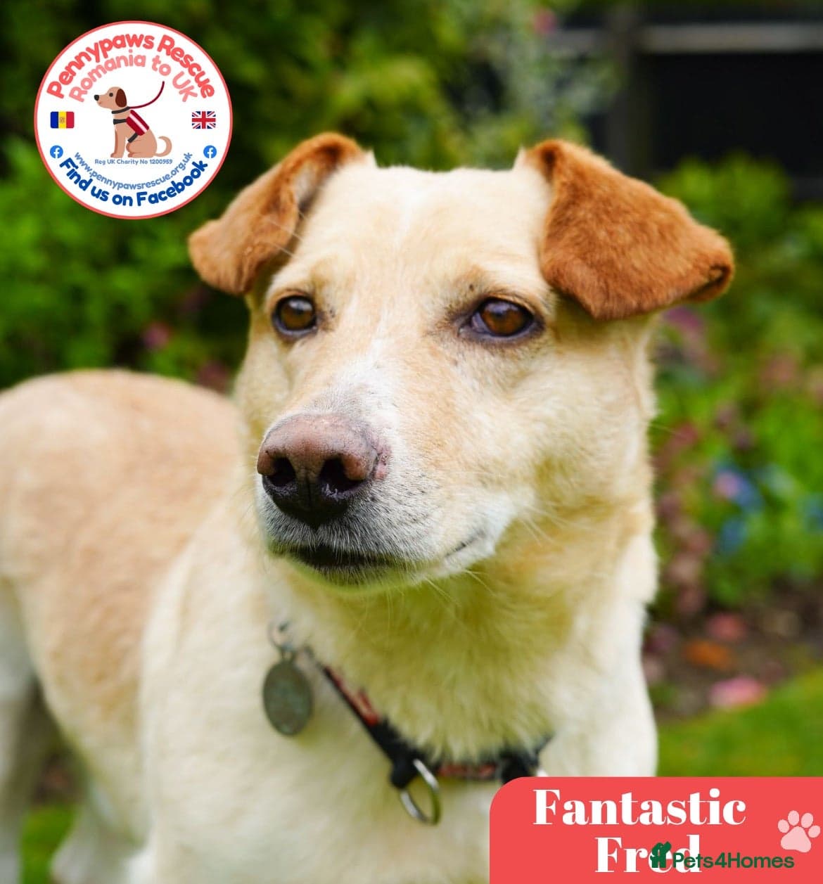 Fantastic Fred photo 2