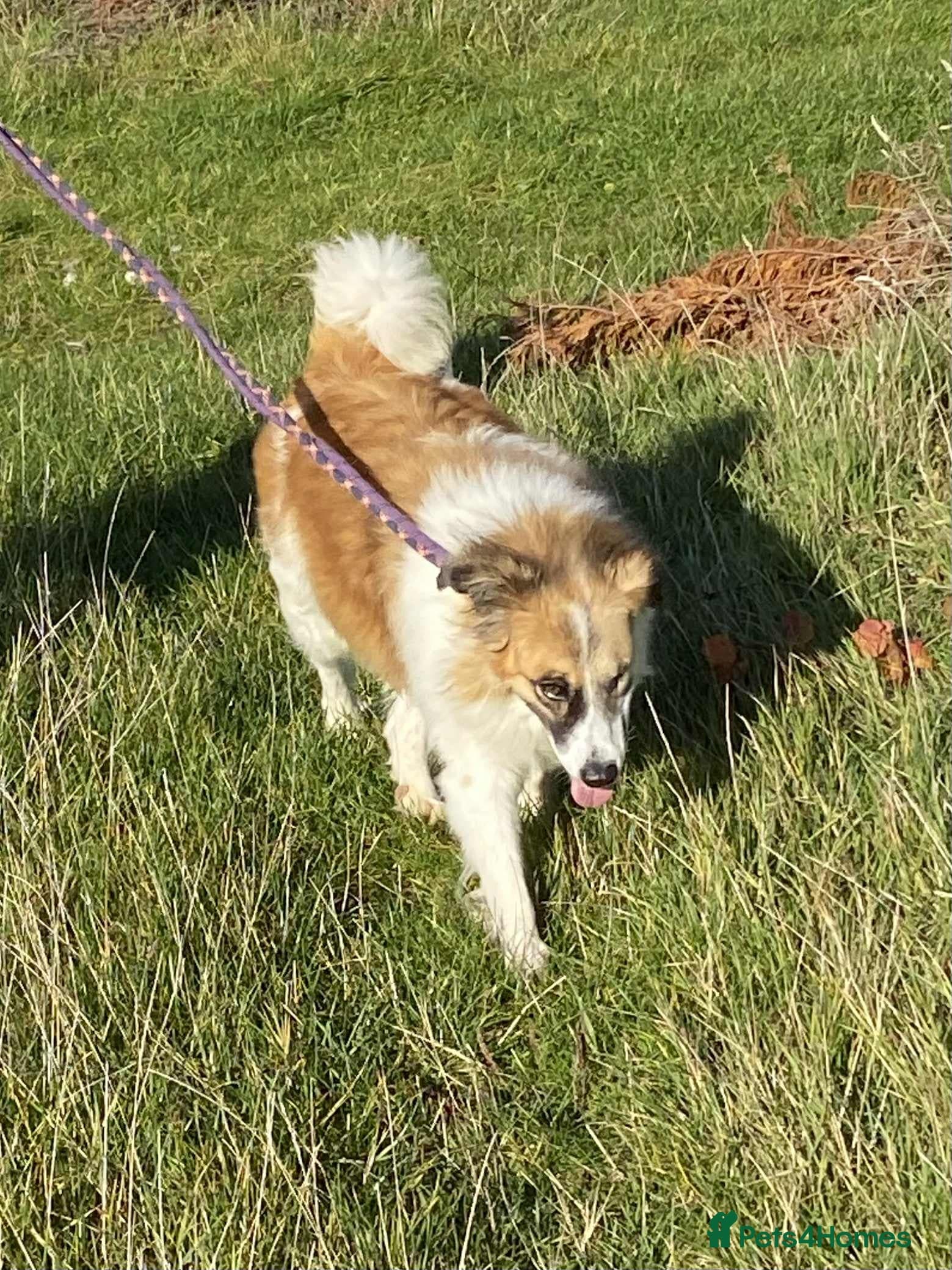 Jessie ❤️ photo 9