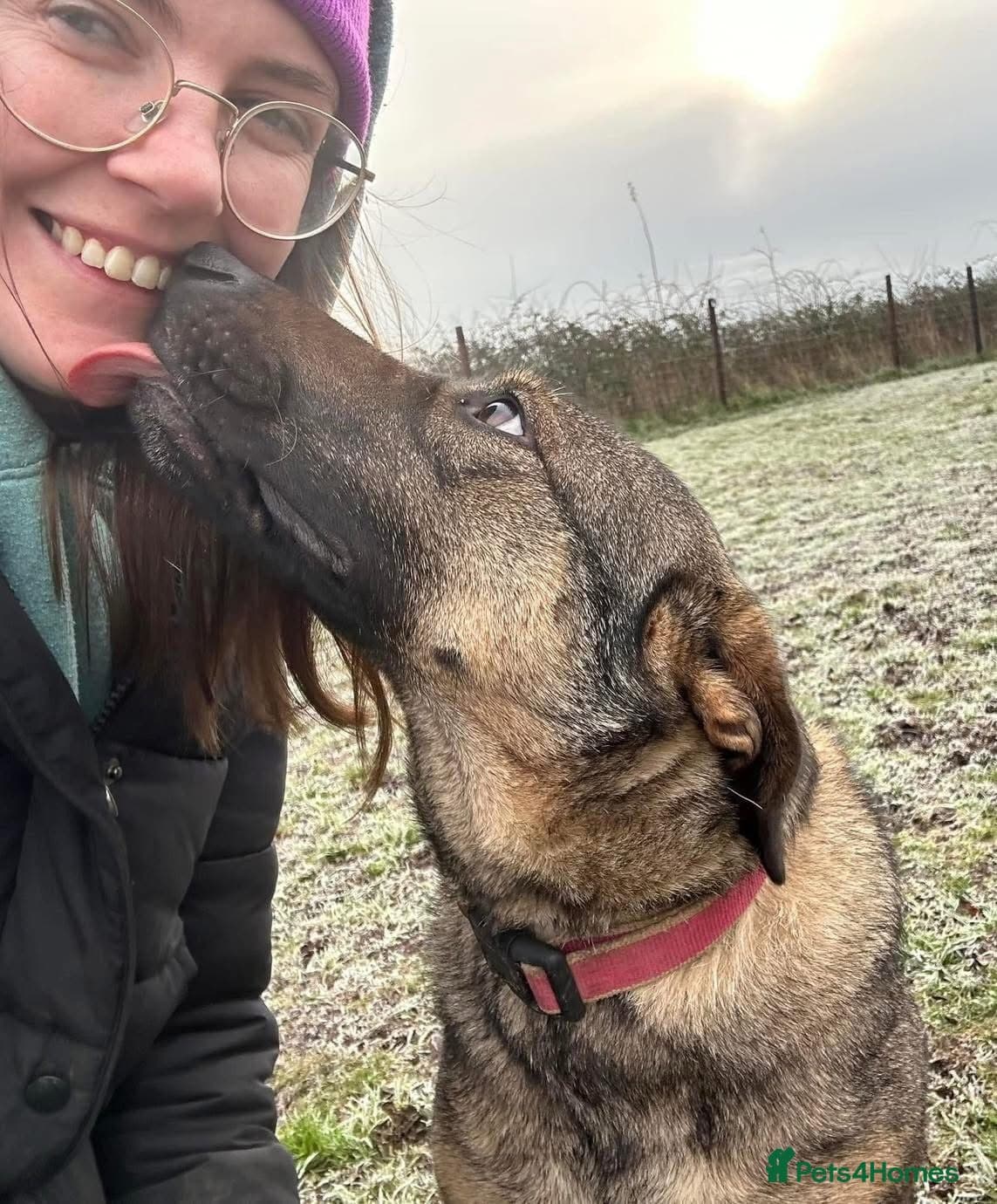 Luna πΎπ photo 23