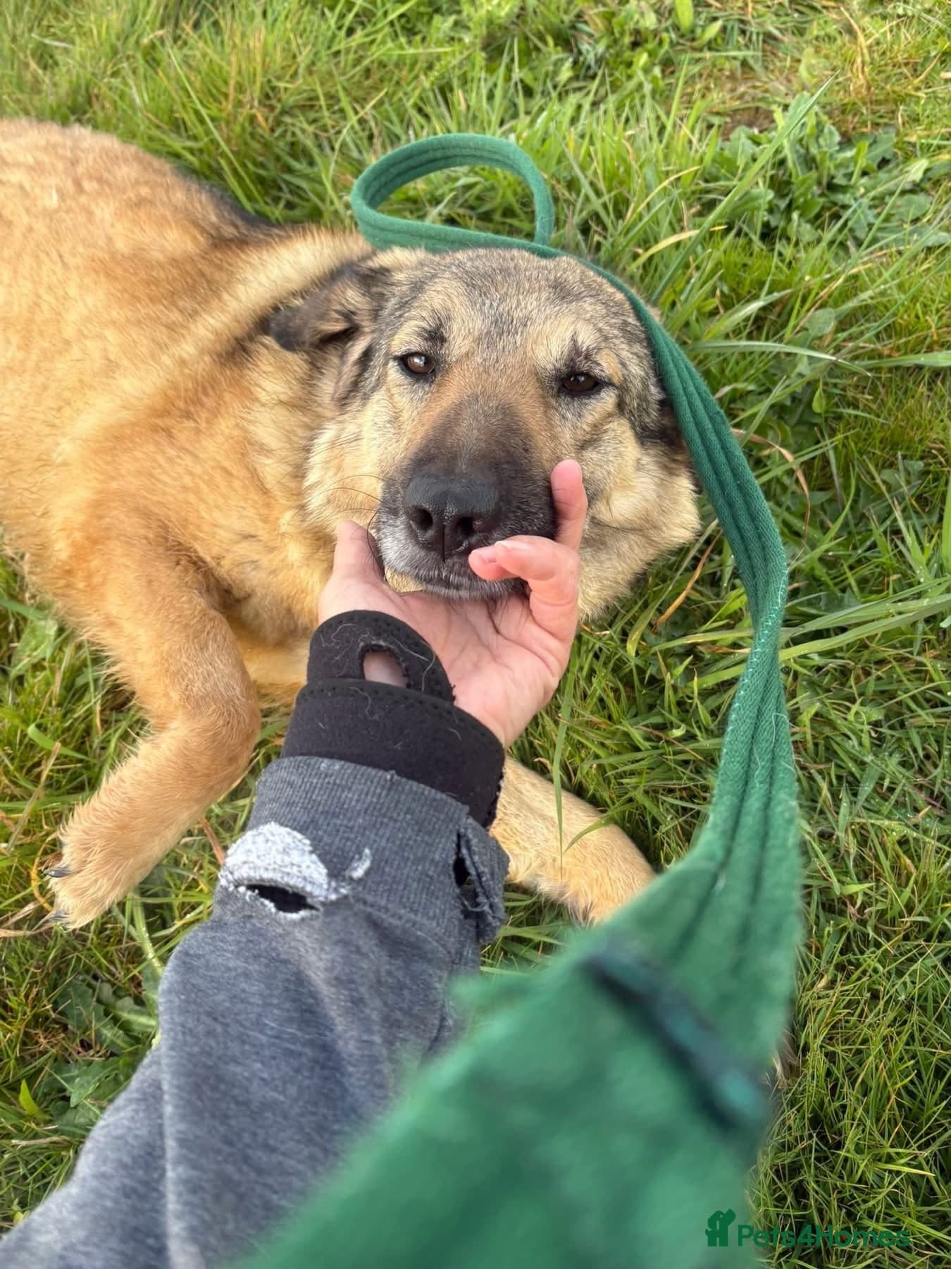 Amanda - Norwich Norfolk photo 9