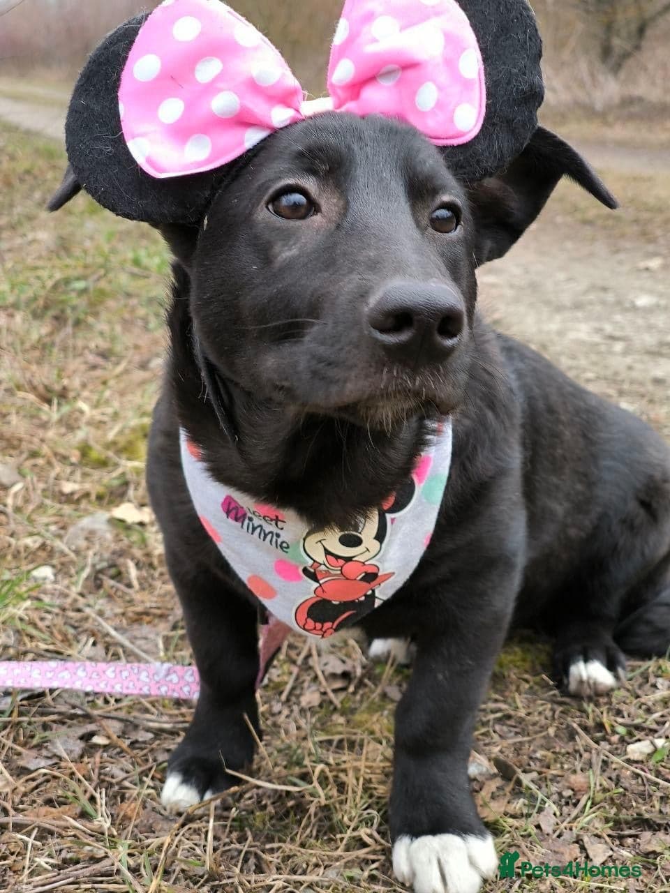 οΈπΆ masha photo 6