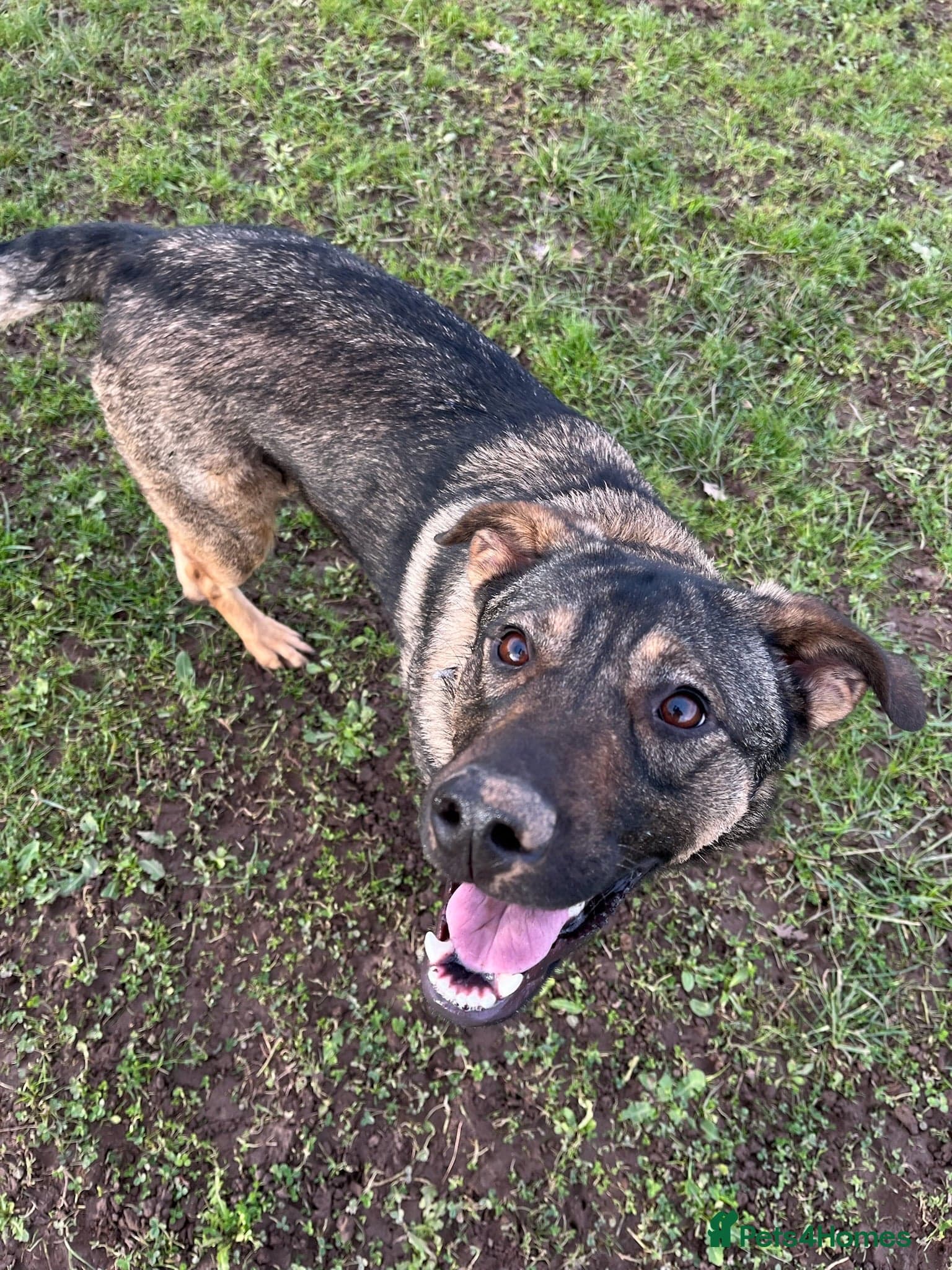 Luna πΎπ photo 13