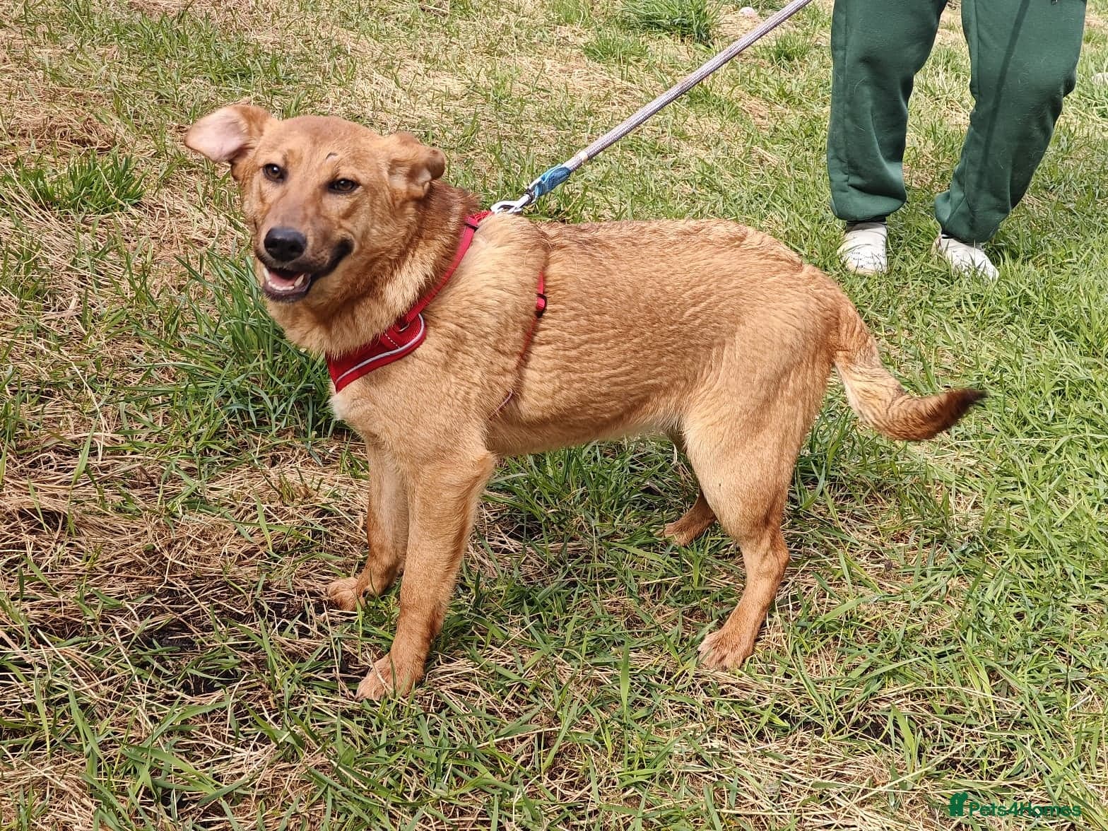 ๏ธ๐ถ yara photo 7