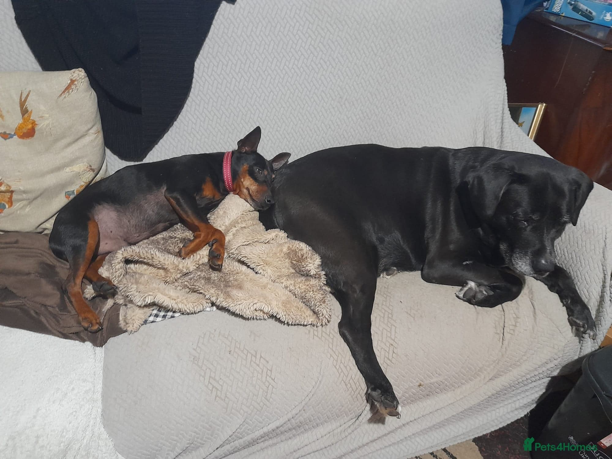 Benetton, a cuddlebug photo 8