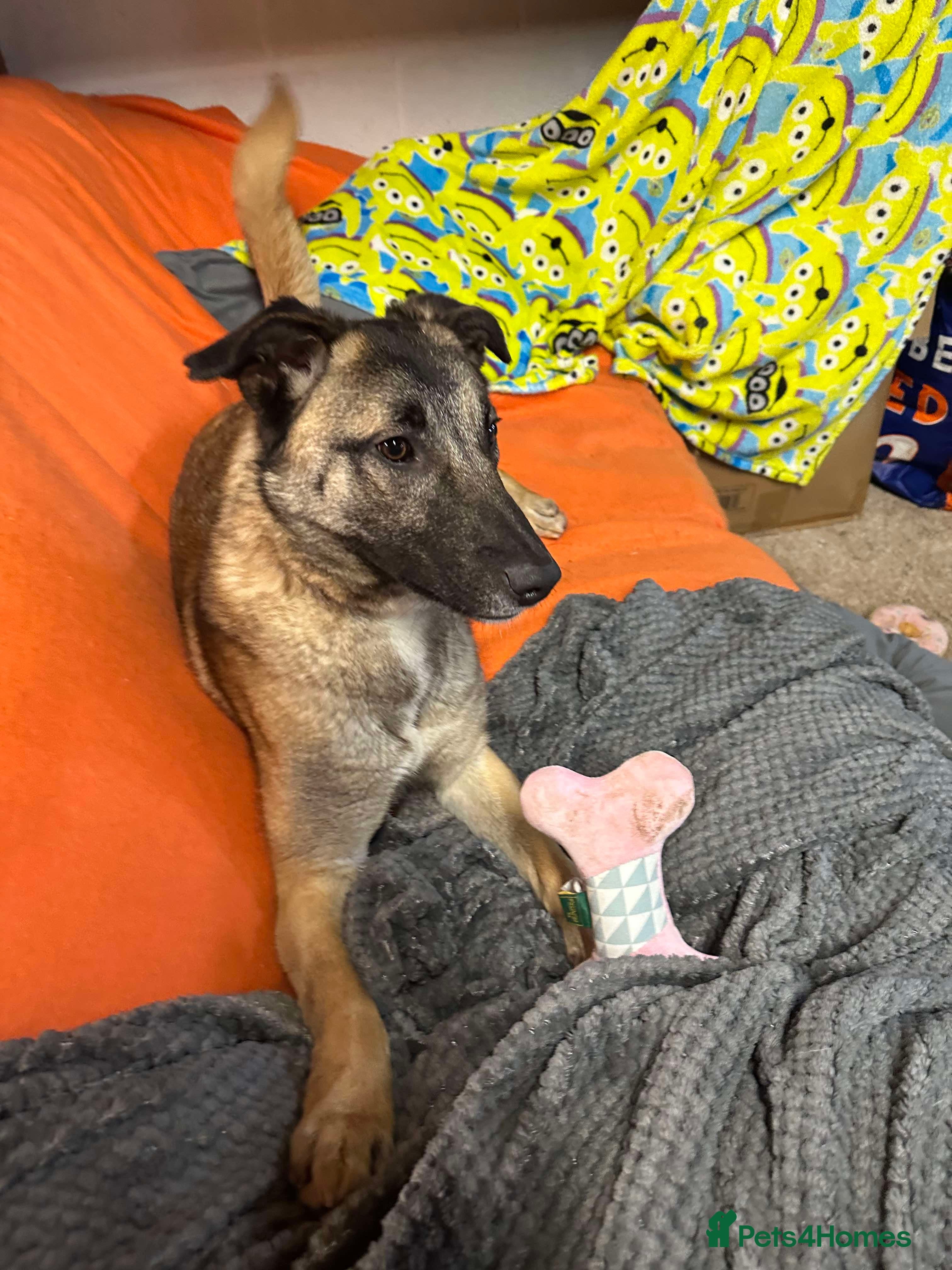 Meet Vera, currently residing in Cheshire photo 15