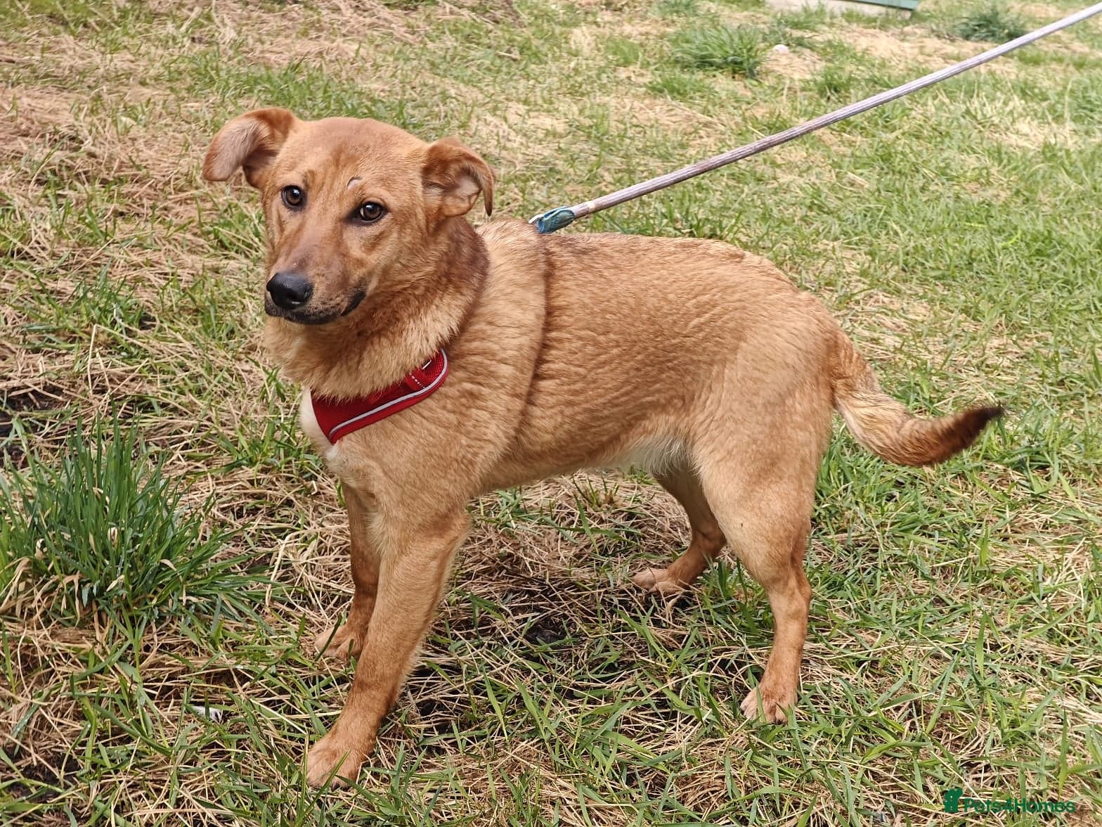 ๏ธ๐ถ yara photo 10