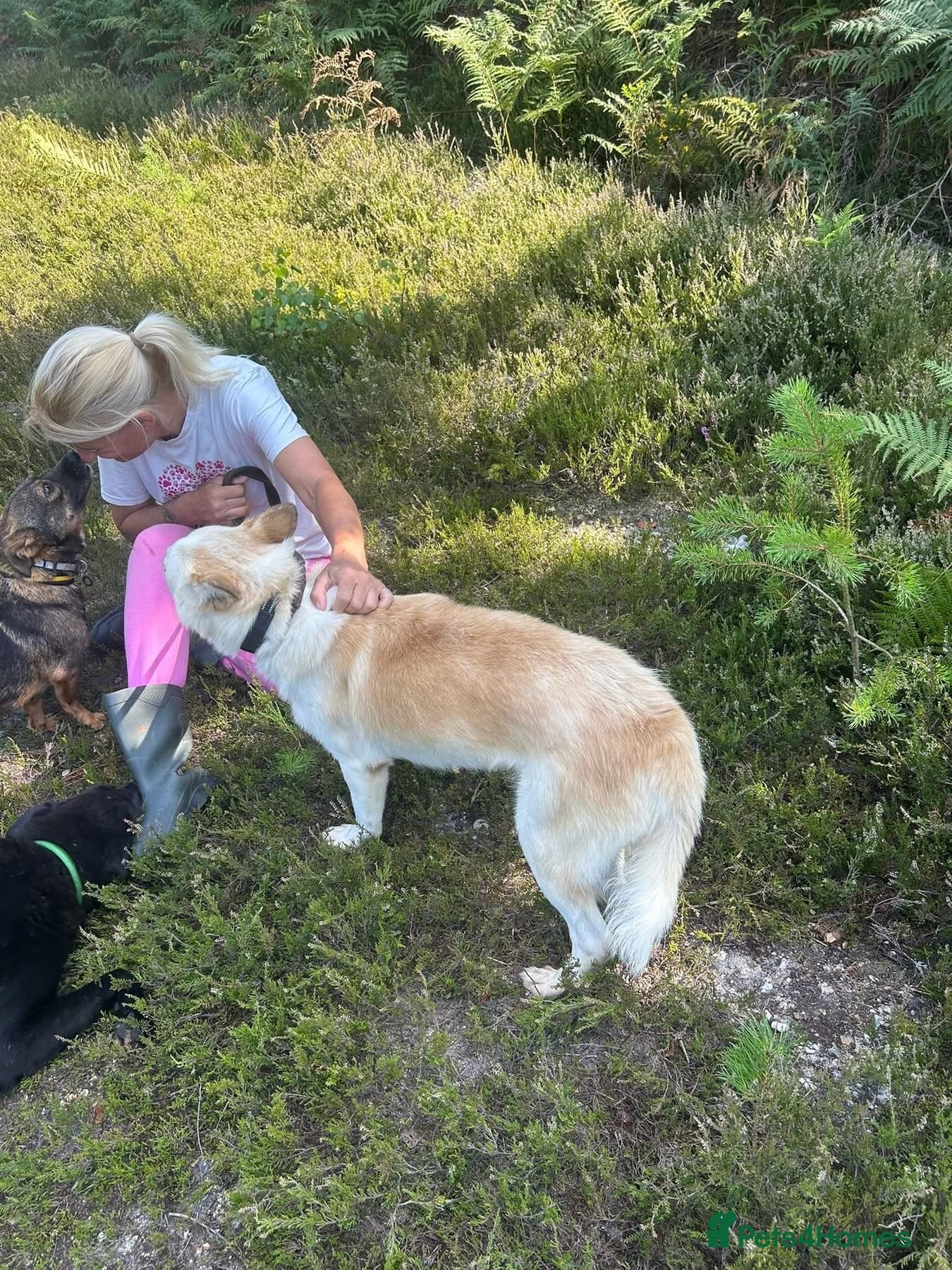 Song - Norwich Norfolk photo 24