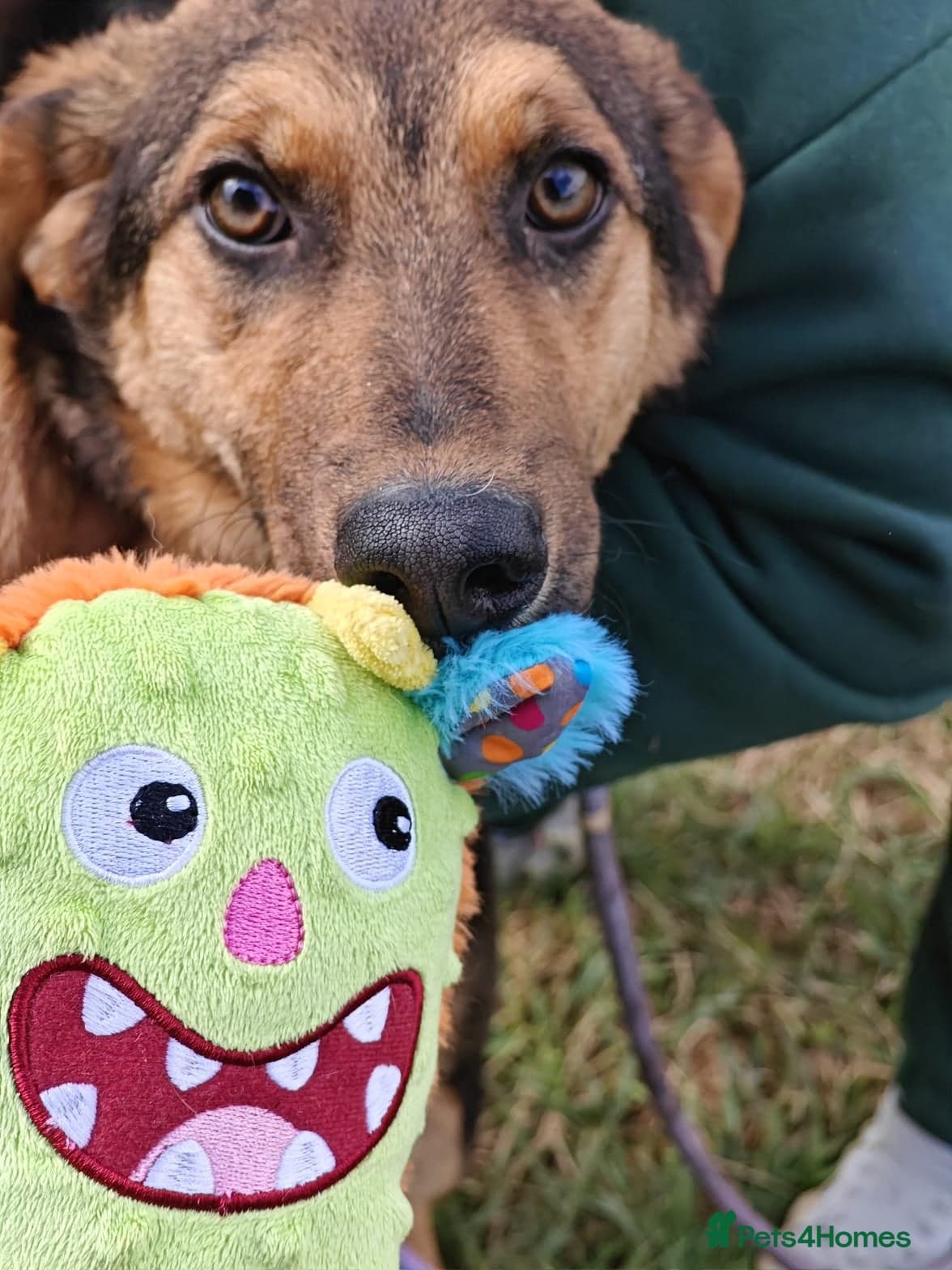 οΈπΆ yasia photo 9