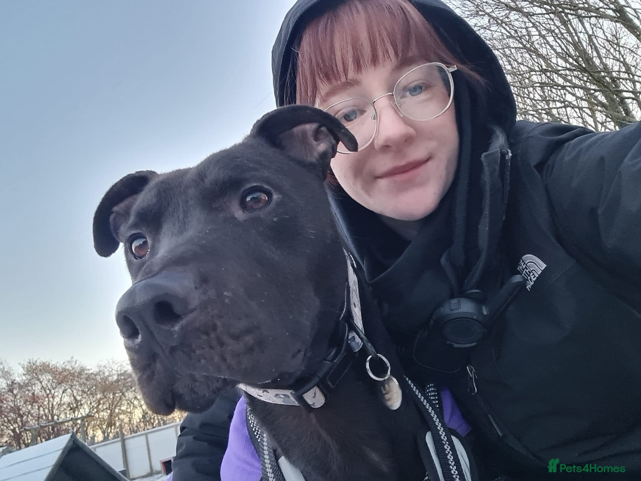 Captain — Mixed Breed