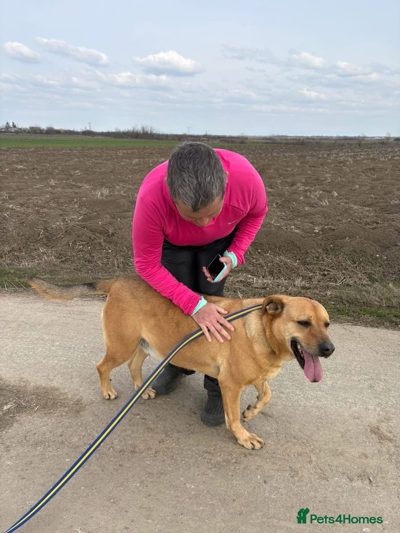 Thor - Dereham Norfolk β Mixed Breed