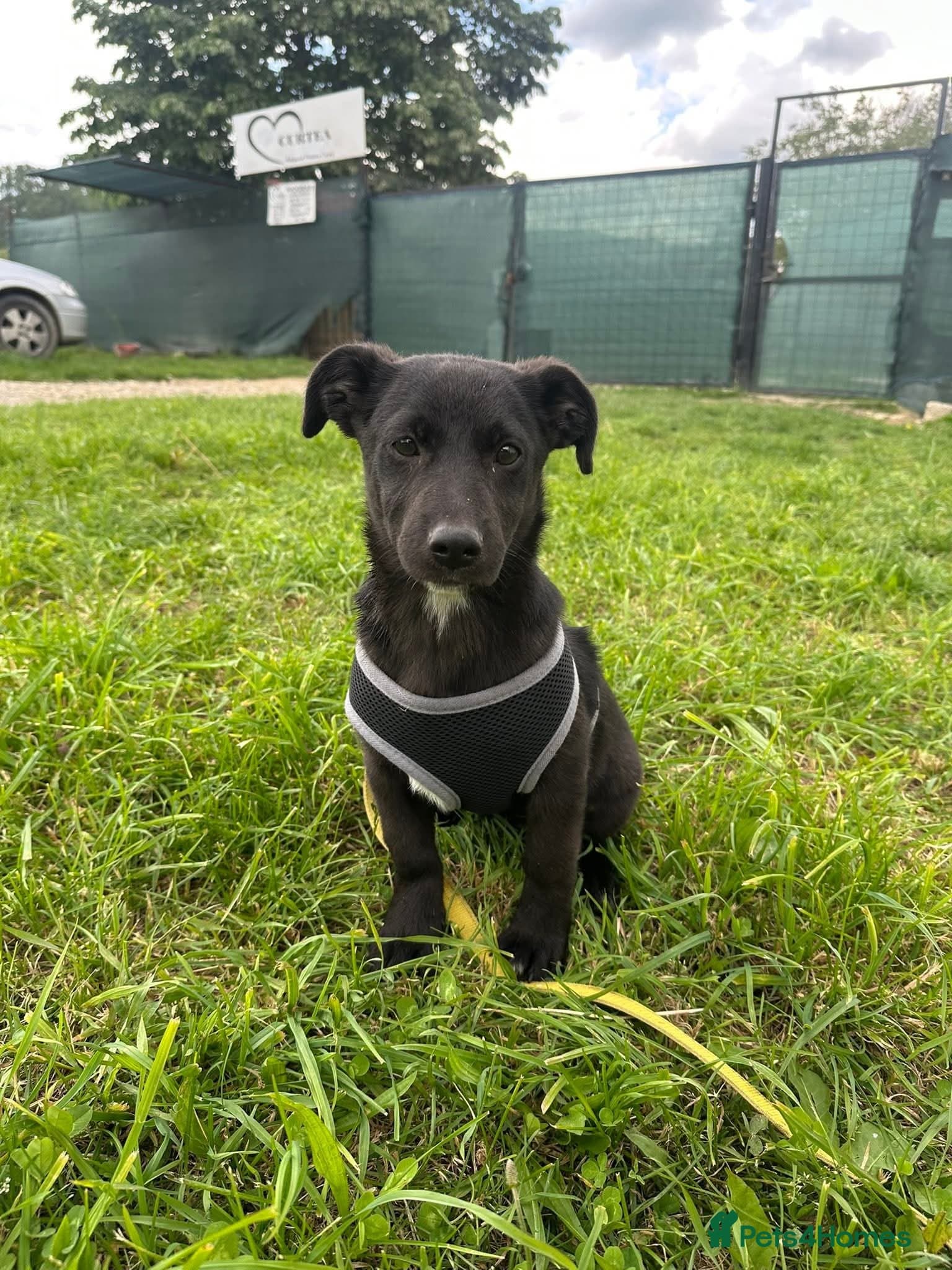 Meet Raegan, currently residing in Surrey photo 8