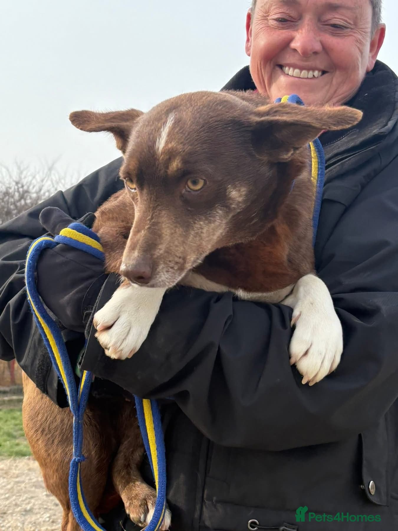 India - Norwich Norfolk photo 6