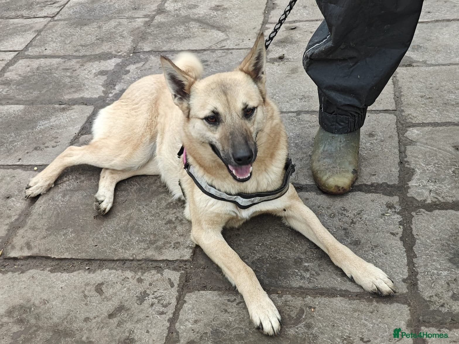 ๏ธ๐ถ stacy photo 21