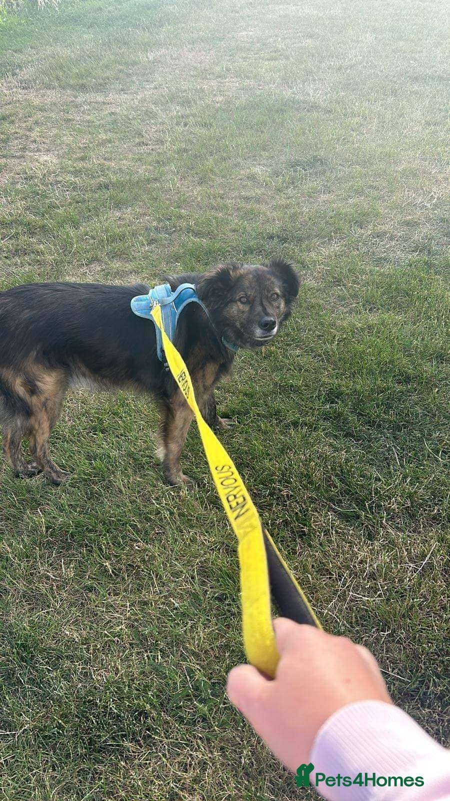 Meet Lenny, currently residing in Southsea photo 8