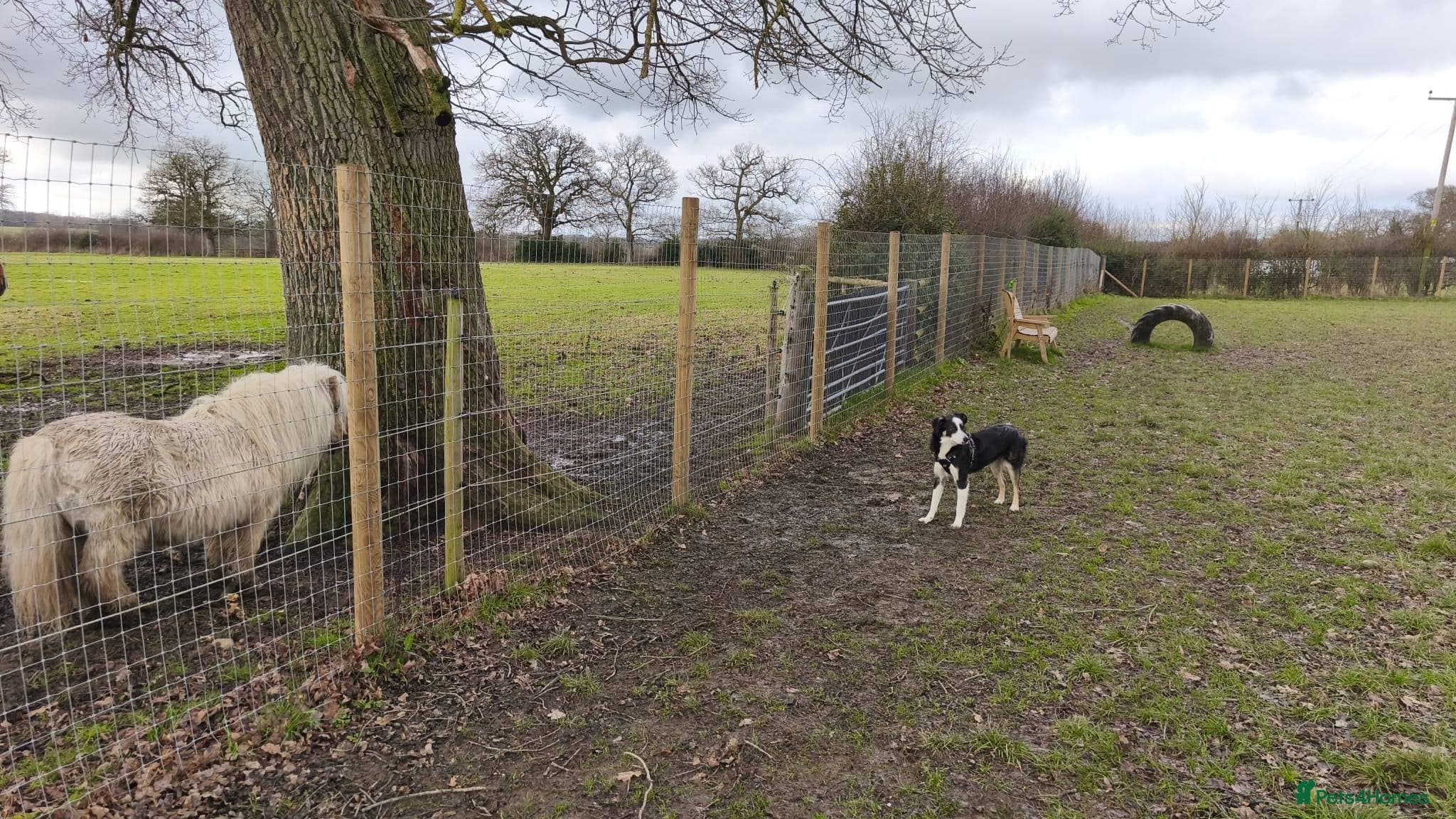 MAXπ Let Down But Still Loving photo 9