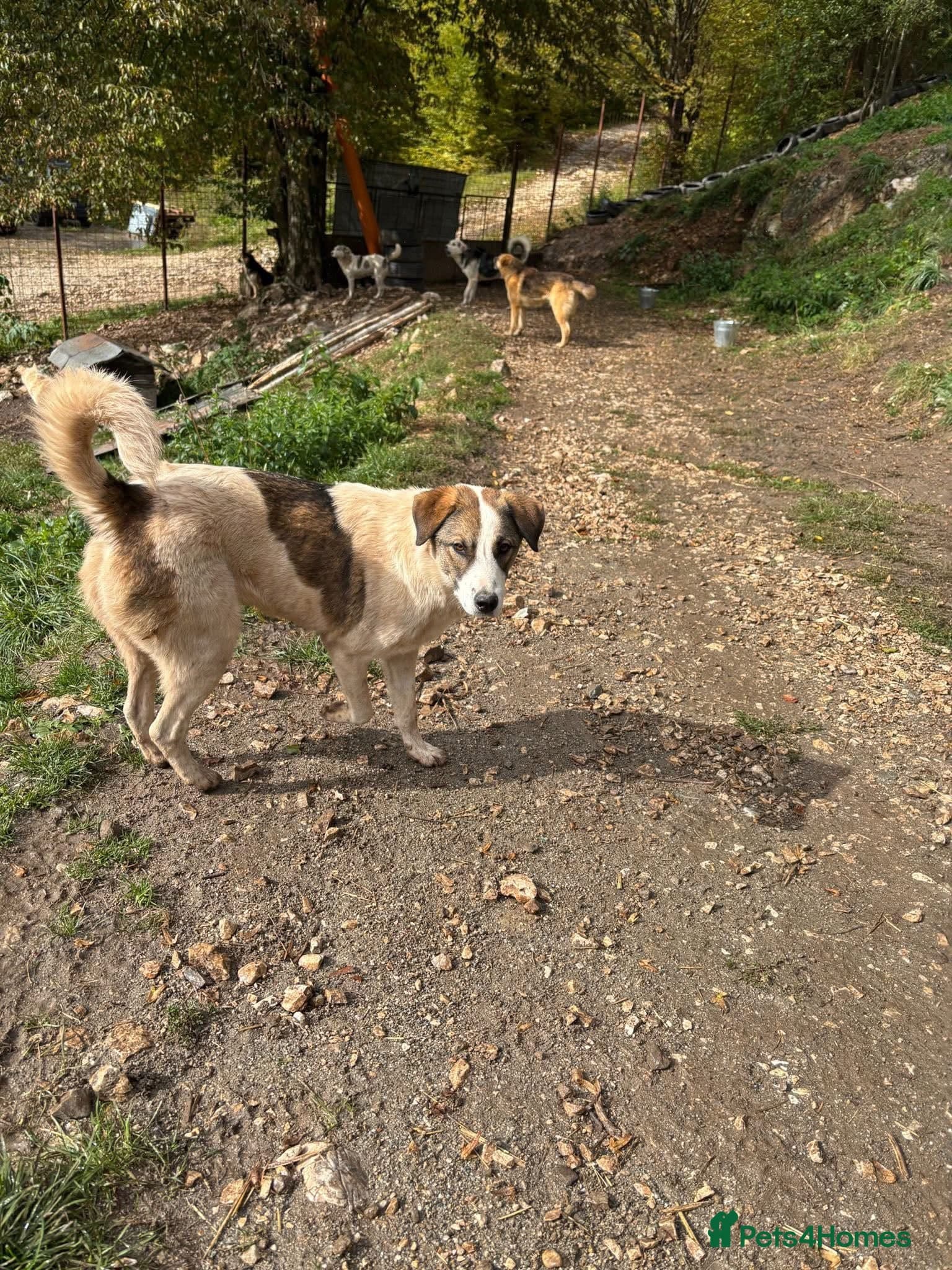 Could you be the family Mercy photo 8