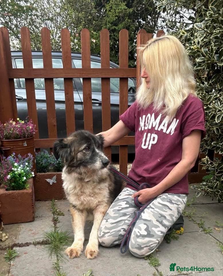 Hilda - Norwich Norfolk photo 20