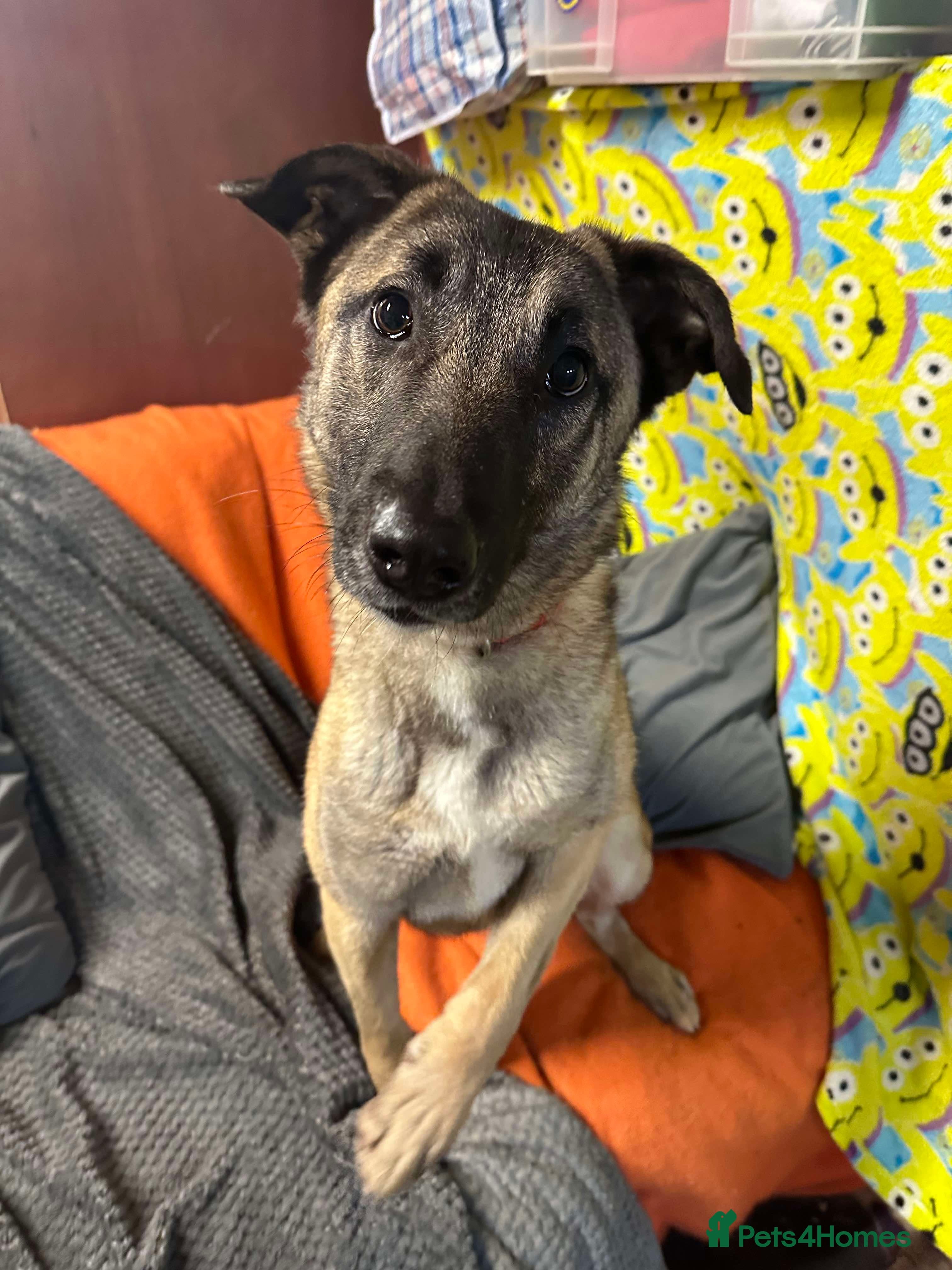 Meet Vera, currently residing in Cheshire photo 21