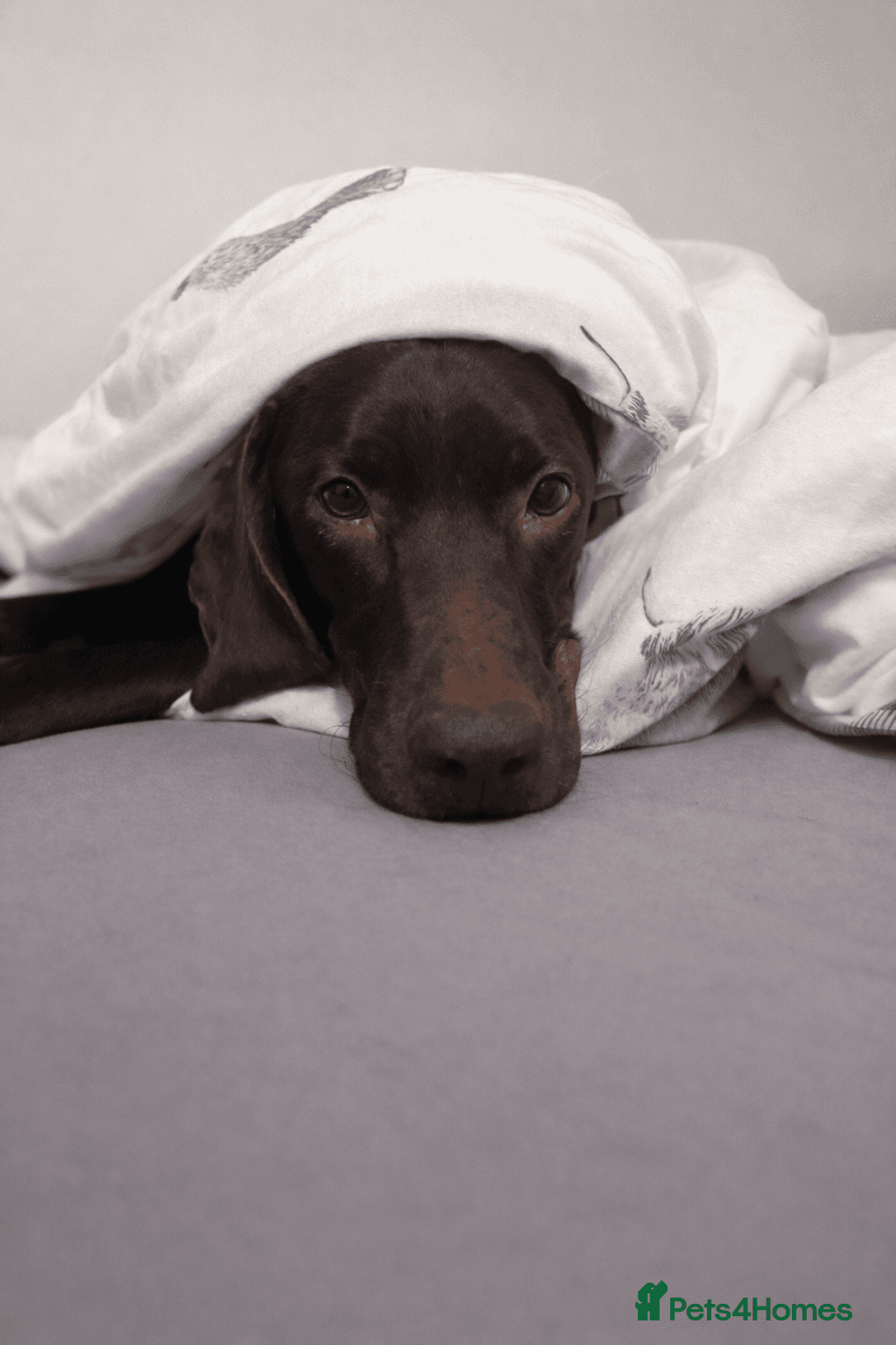 ️ meet wilson photo 21