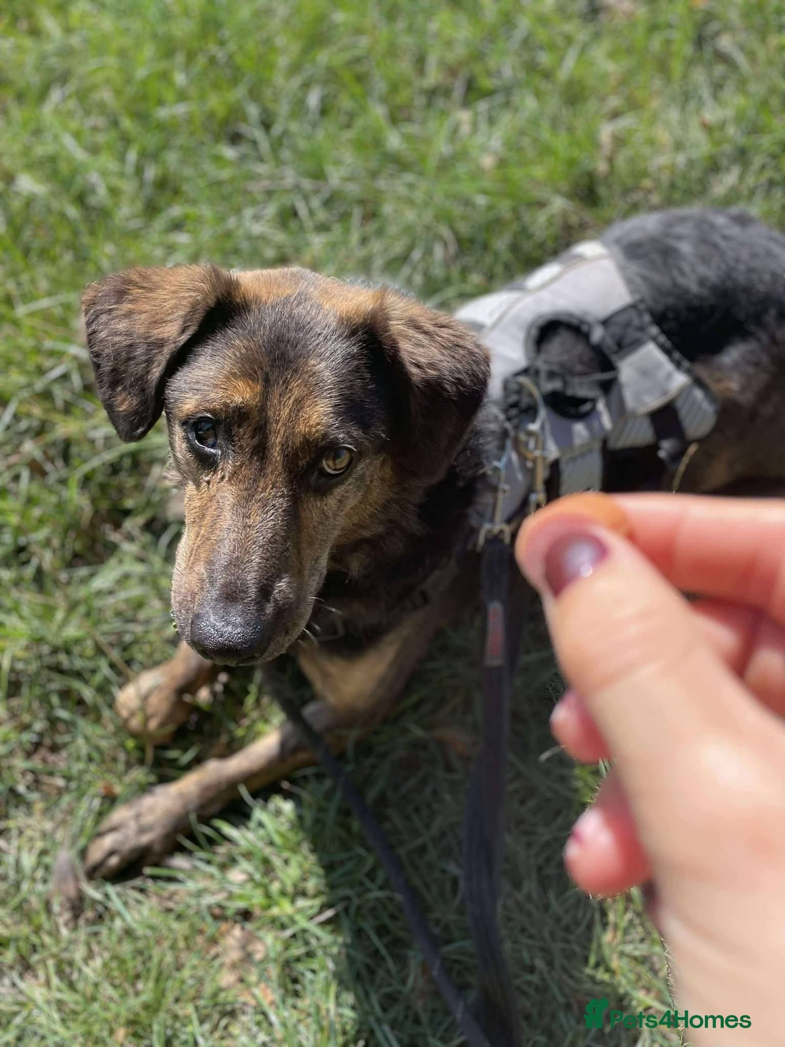 Meet Jess, currently residing in Essex photo 15