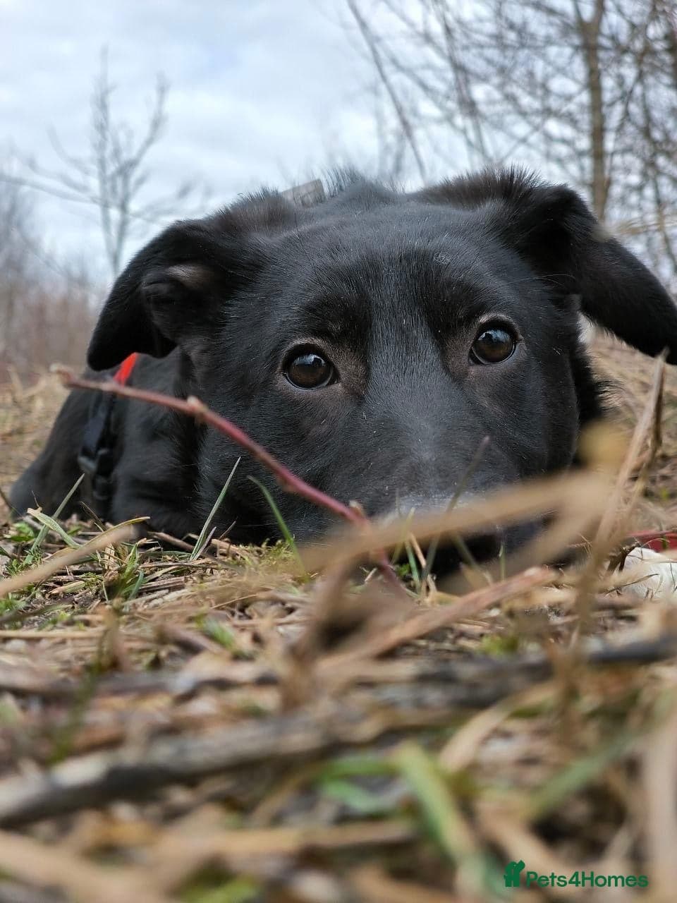 οΈπΆ masha photo 12